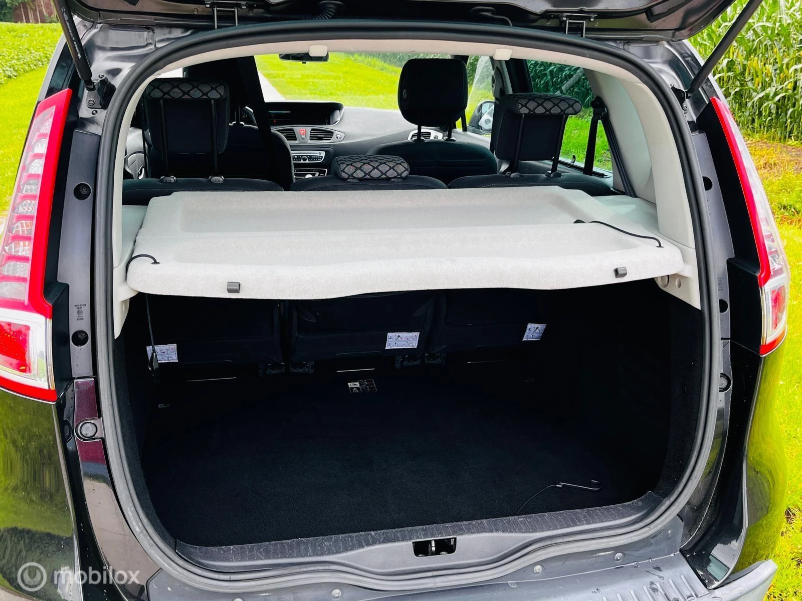 Hoofdafbeelding Renault Scénic