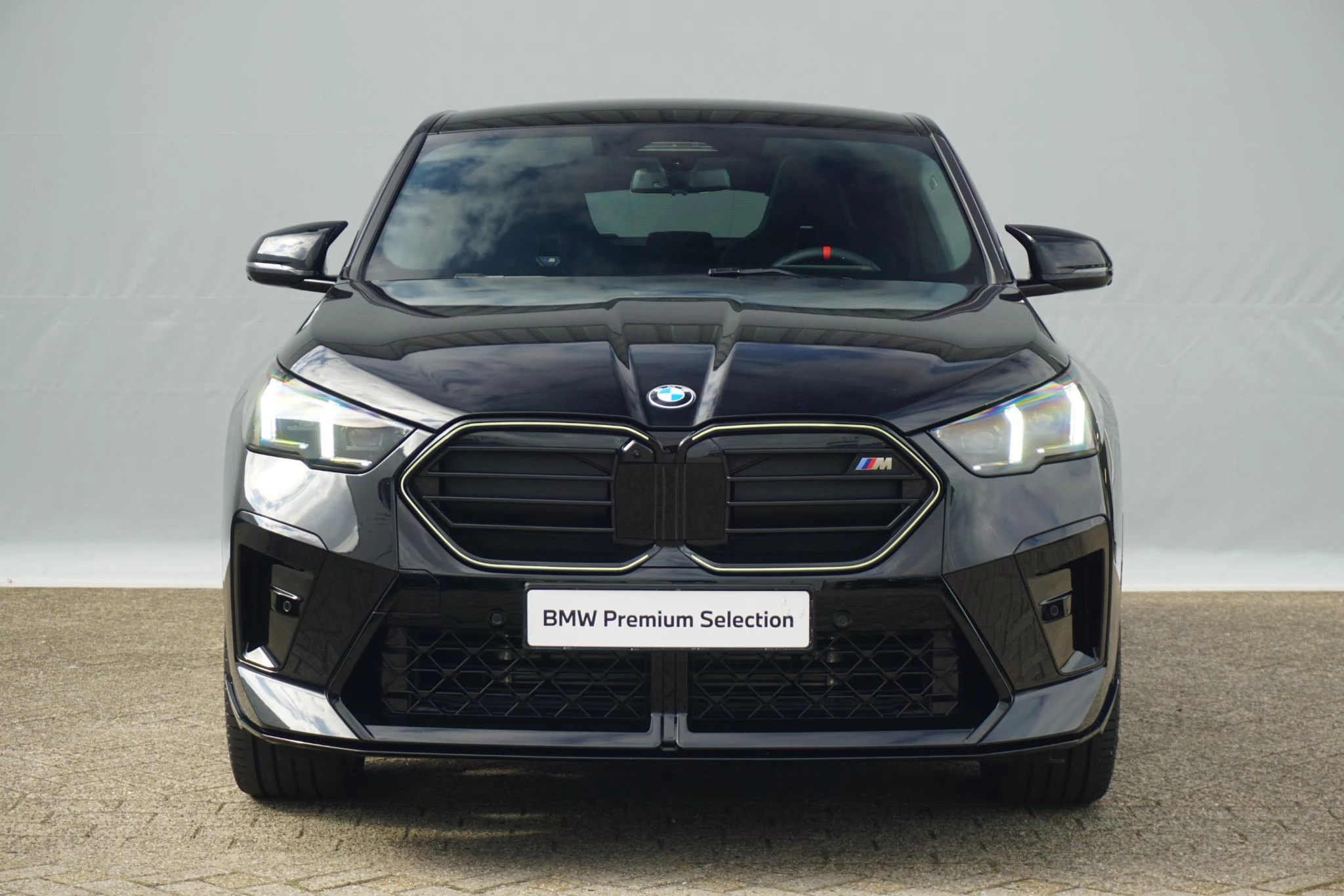 Hoofdafbeelding BMW X2
