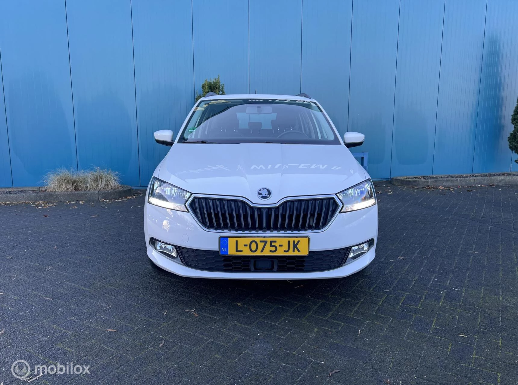 Hoofdafbeelding Škoda Fabia