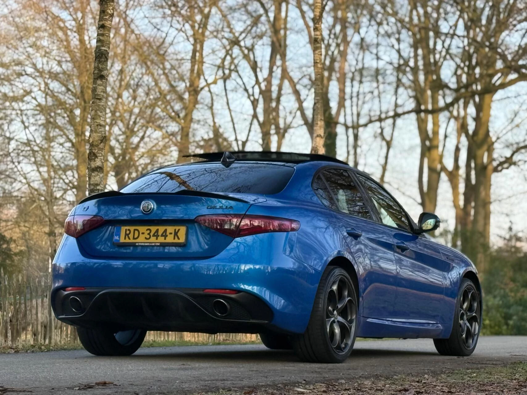 Hoofdafbeelding Alfa Romeo Giulia
