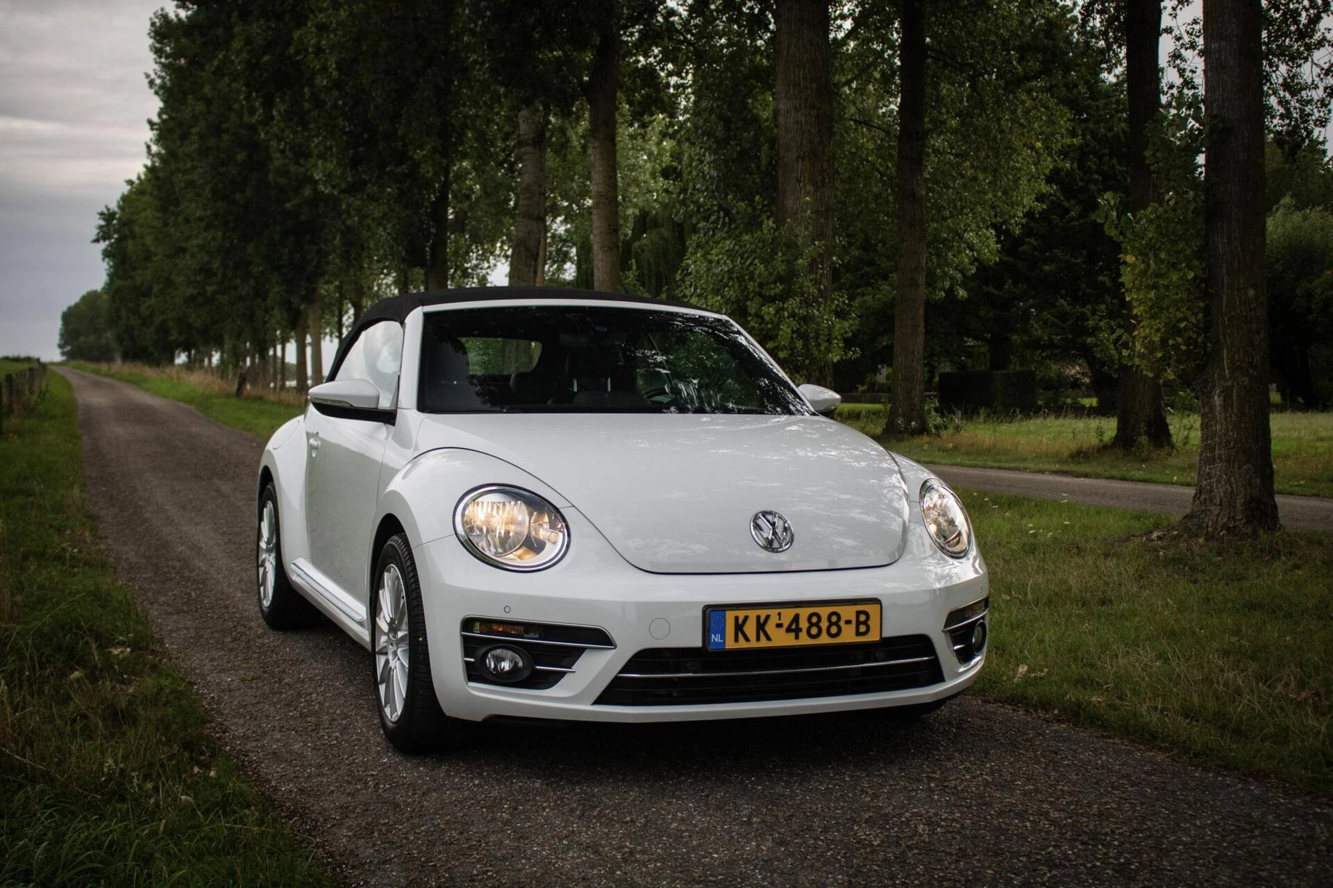 Hoofdafbeelding Volkswagen Beetle