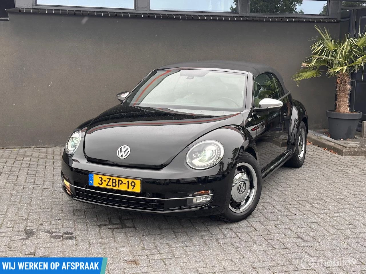 Hoofdafbeelding Volkswagen Beetle