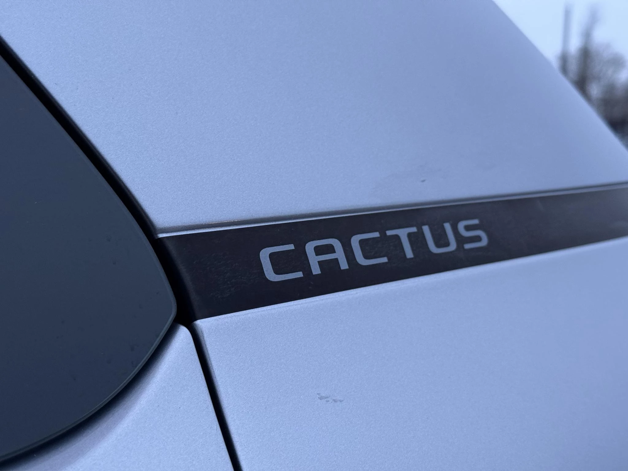 Hoofdafbeelding Citroën C4 Cactus