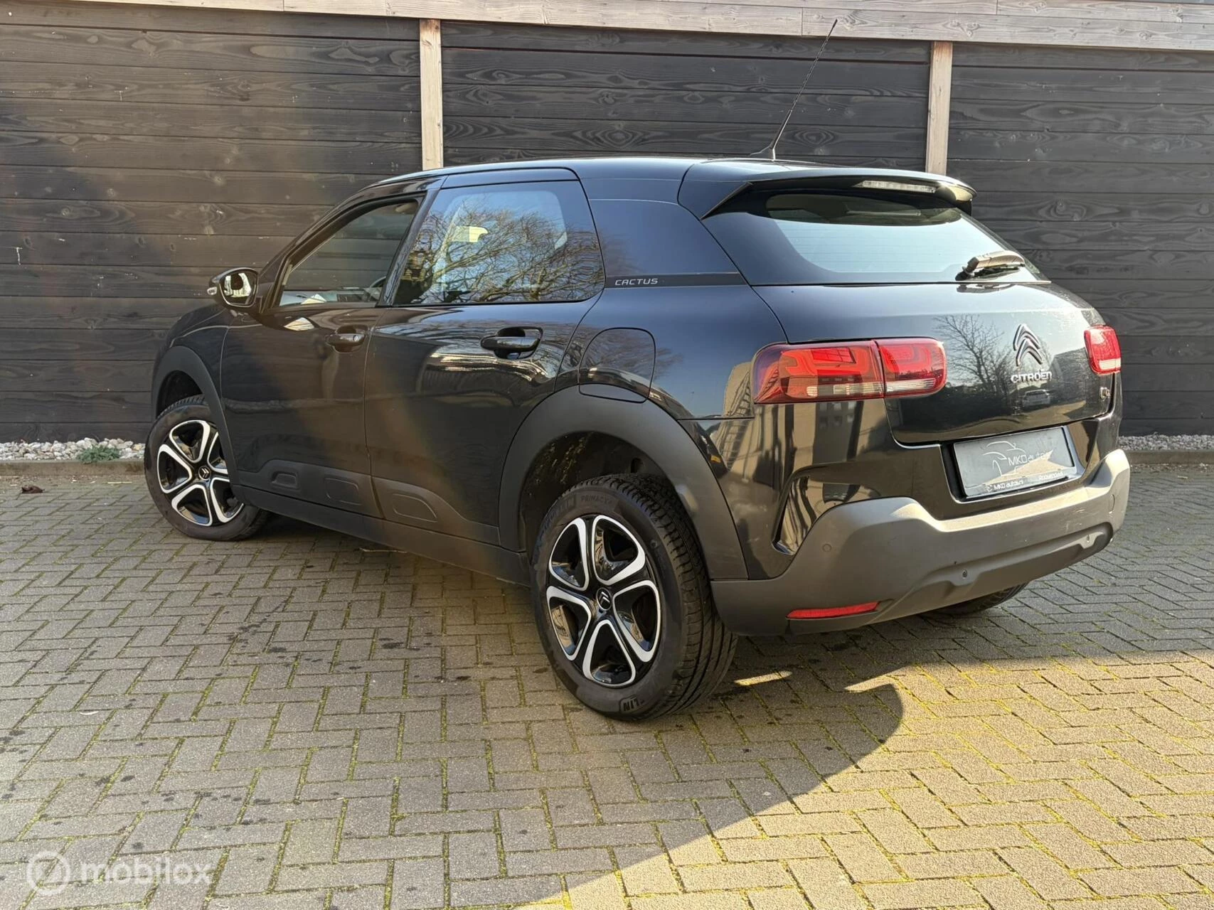 Hoofdafbeelding Citroën C4 Cactus