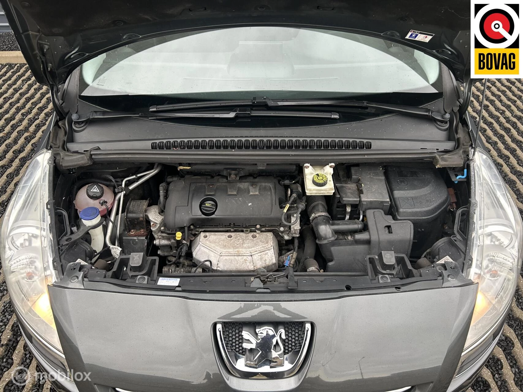 Hoofdafbeelding Peugeot 5008