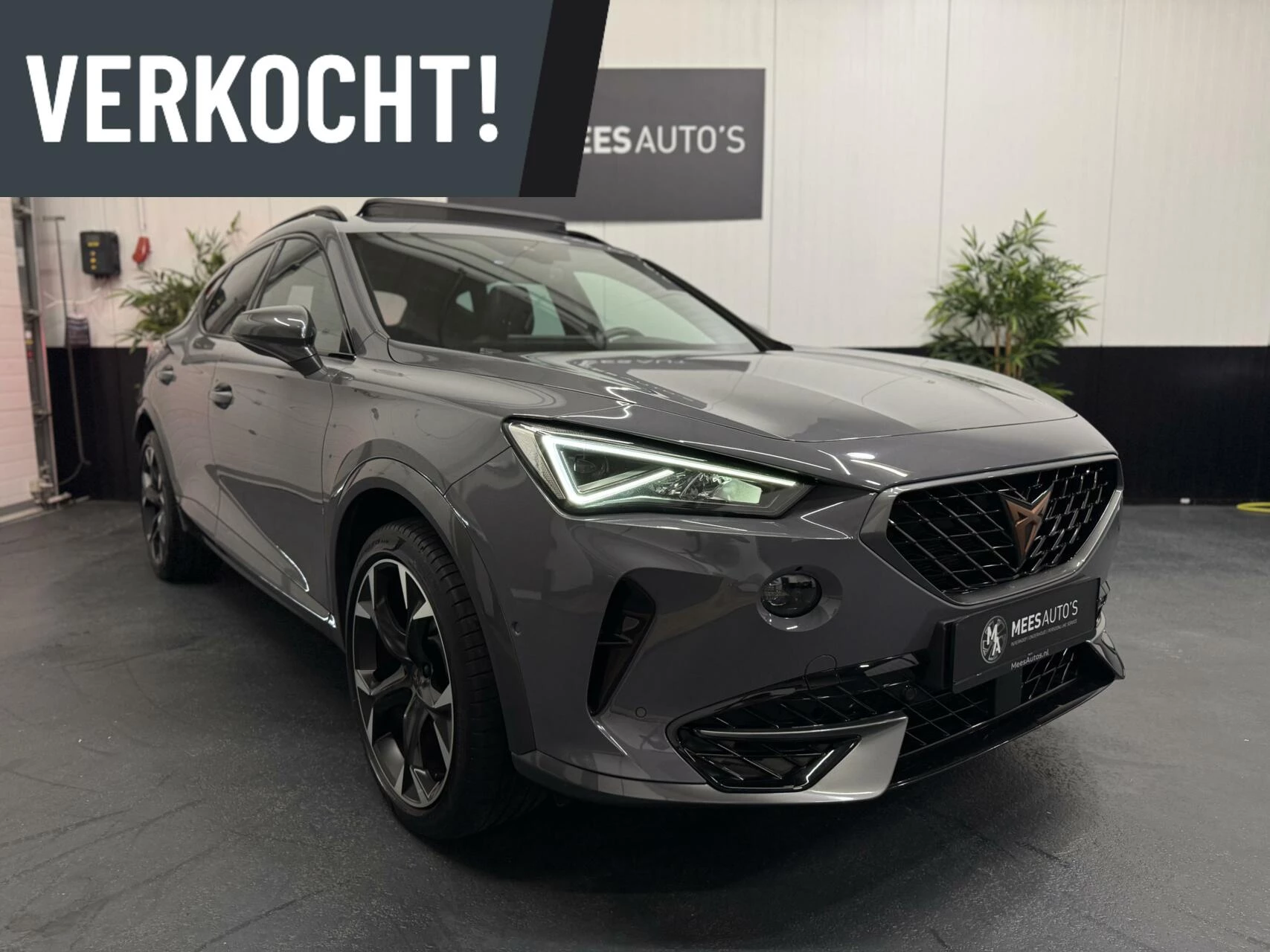 Hoofdafbeelding CUPRA Formentor