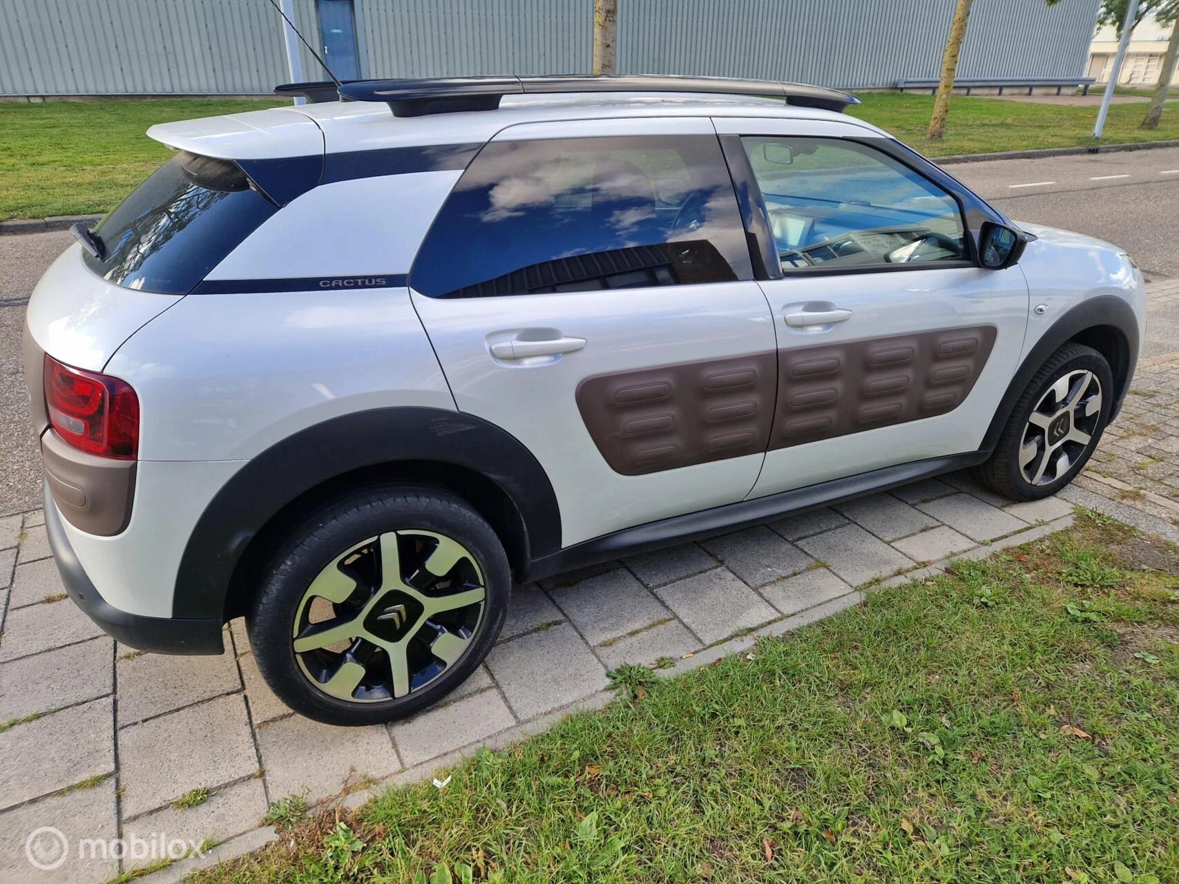 Hoofdafbeelding Citroën C4 Cactus