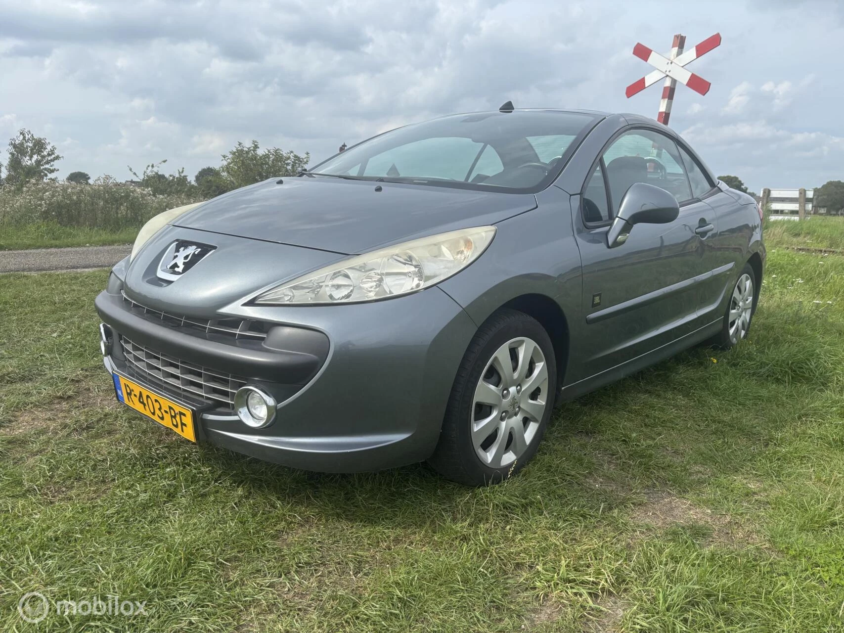 Hoofdafbeelding Peugeot 207