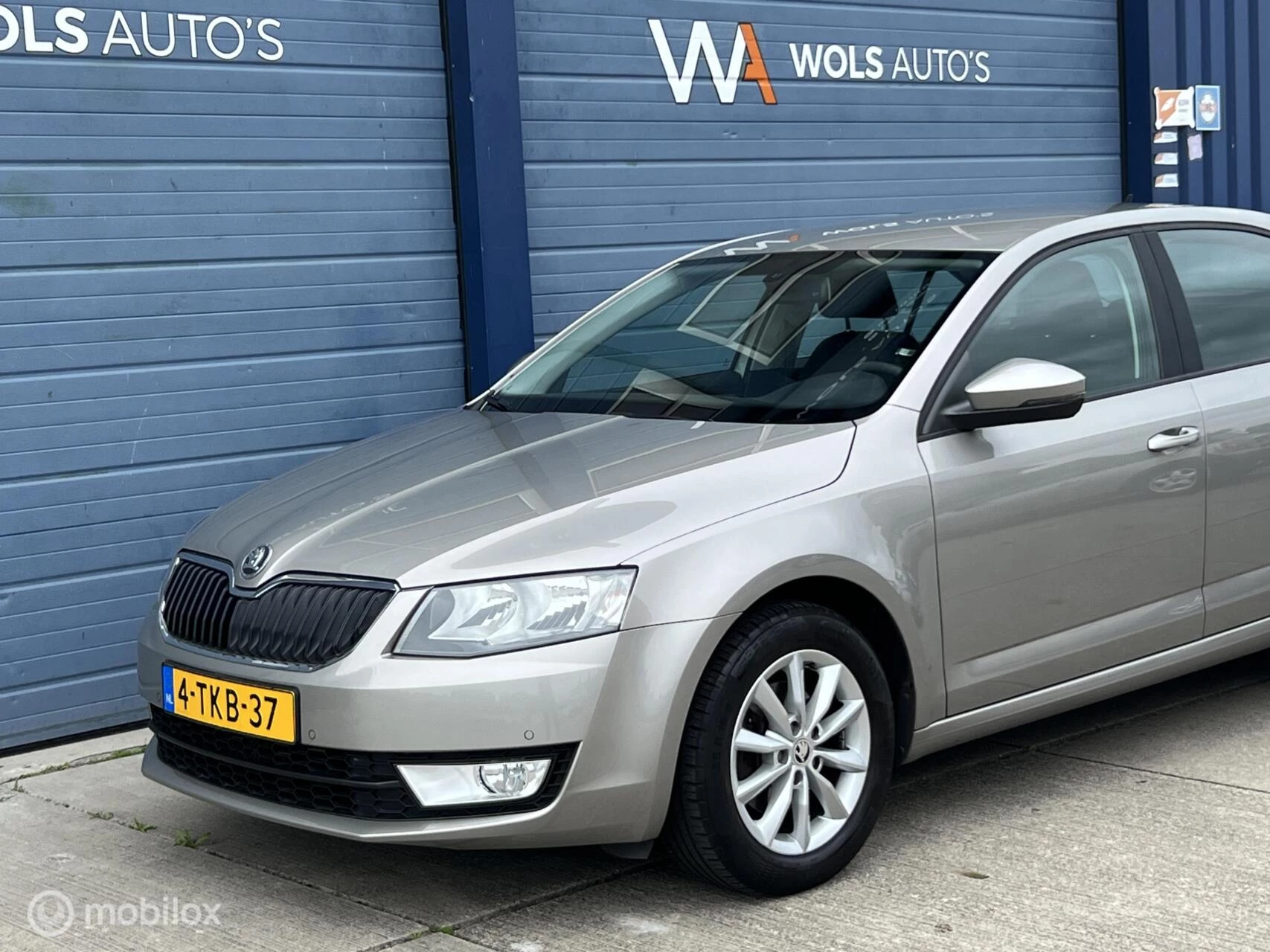 Hoofdafbeelding Škoda Octavia