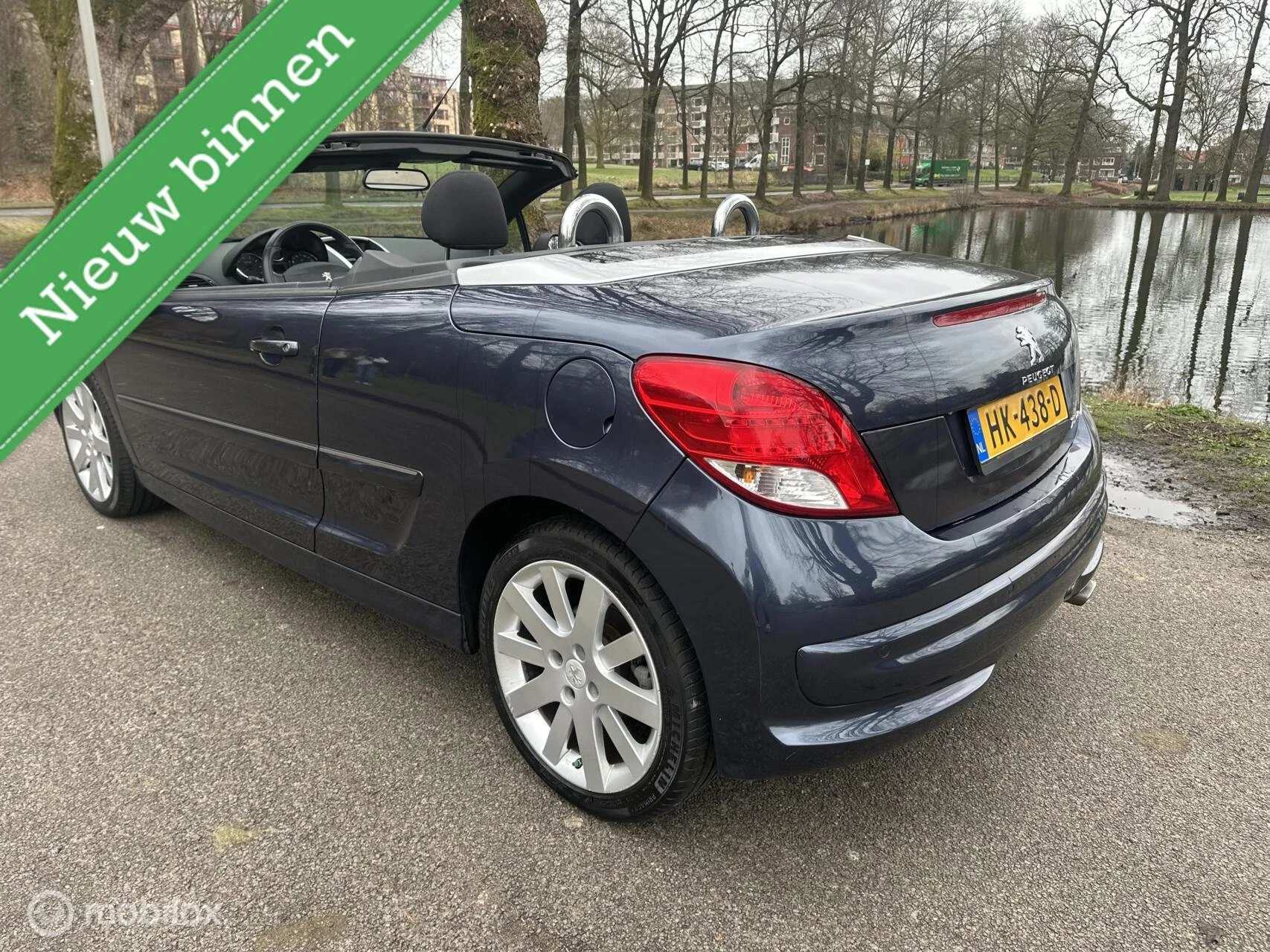 Hoofdafbeelding Peugeot 207