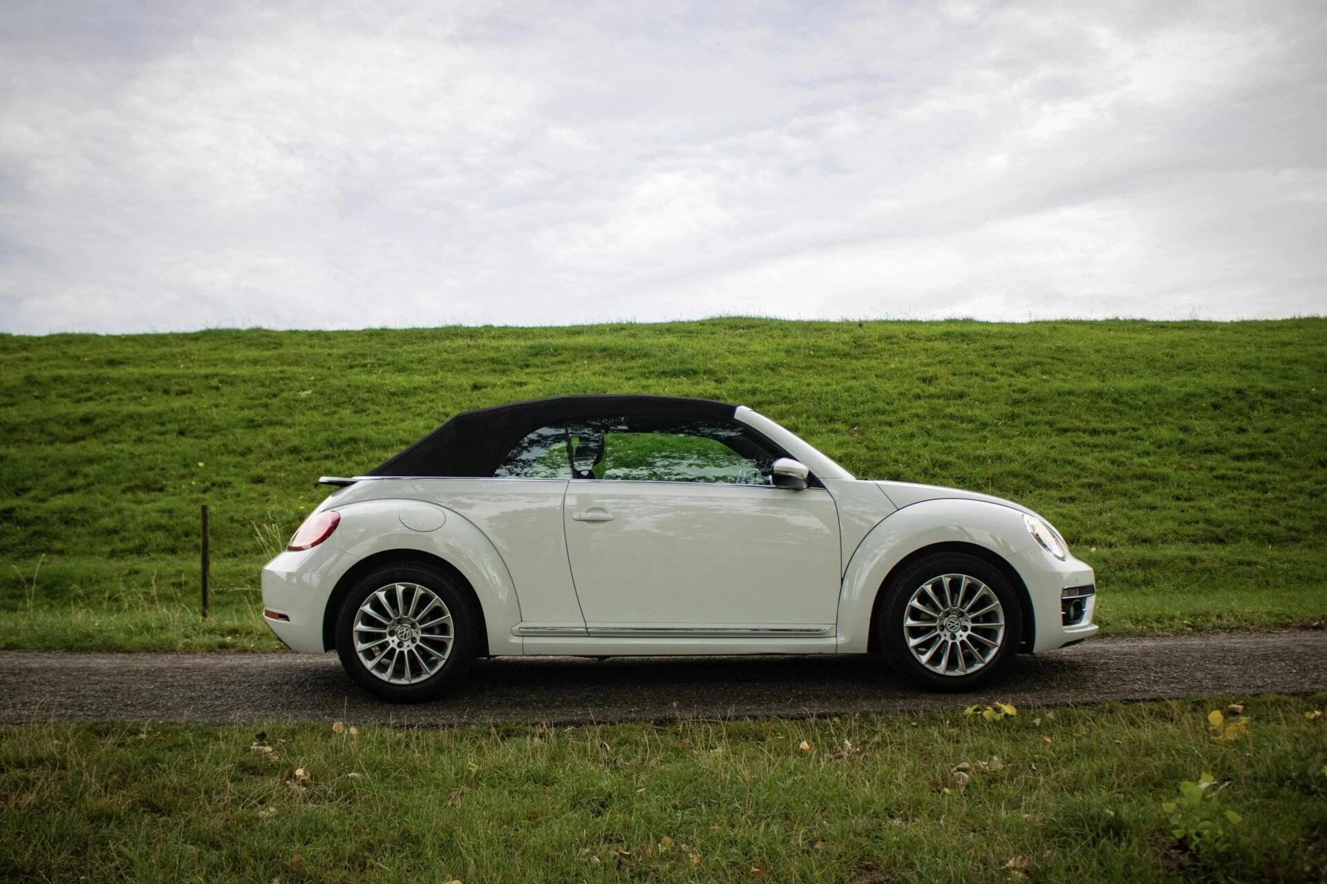Hoofdafbeelding Volkswagen Beetle