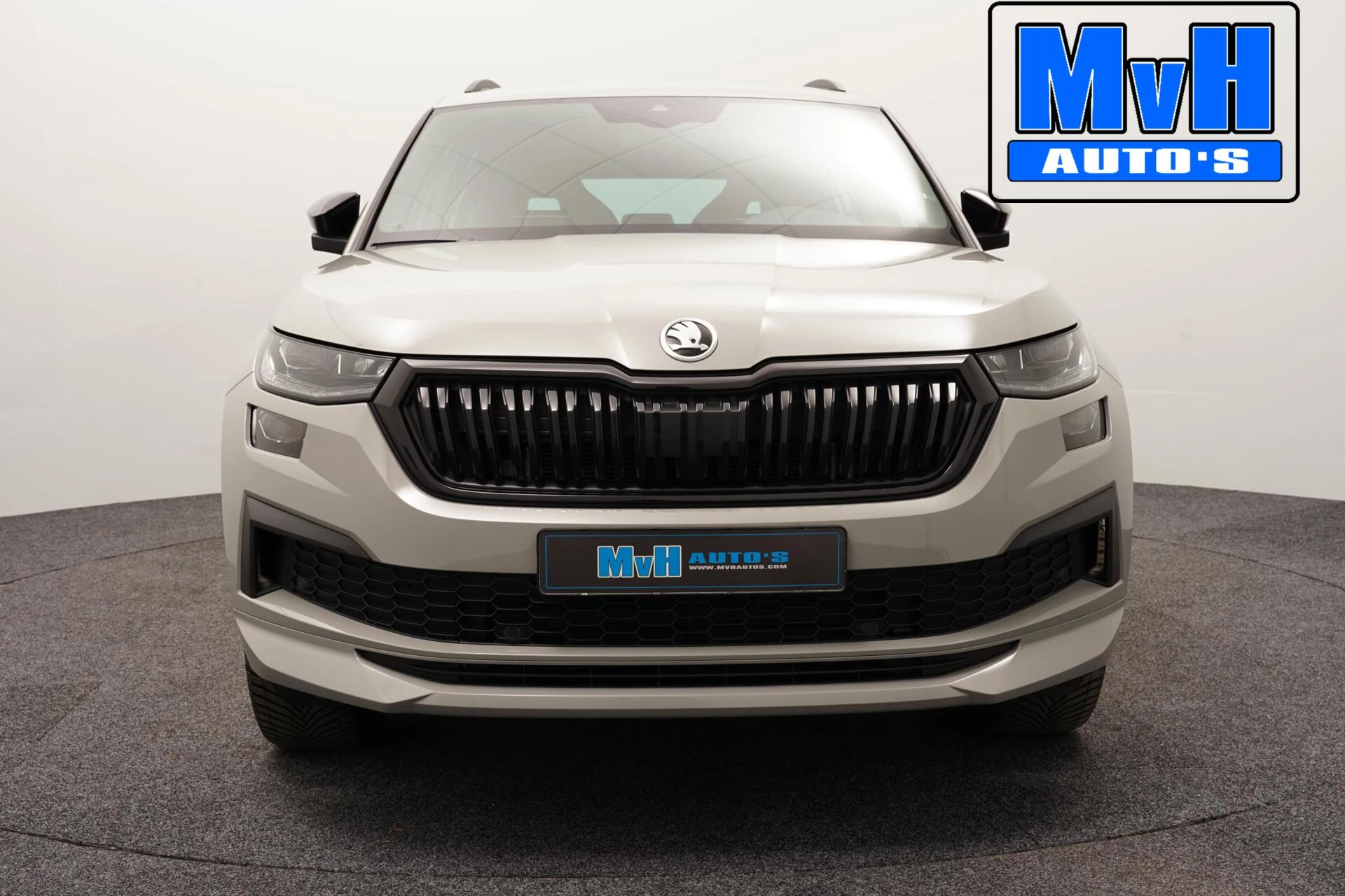 Hoofdafbeelding Škoda Kodiaq