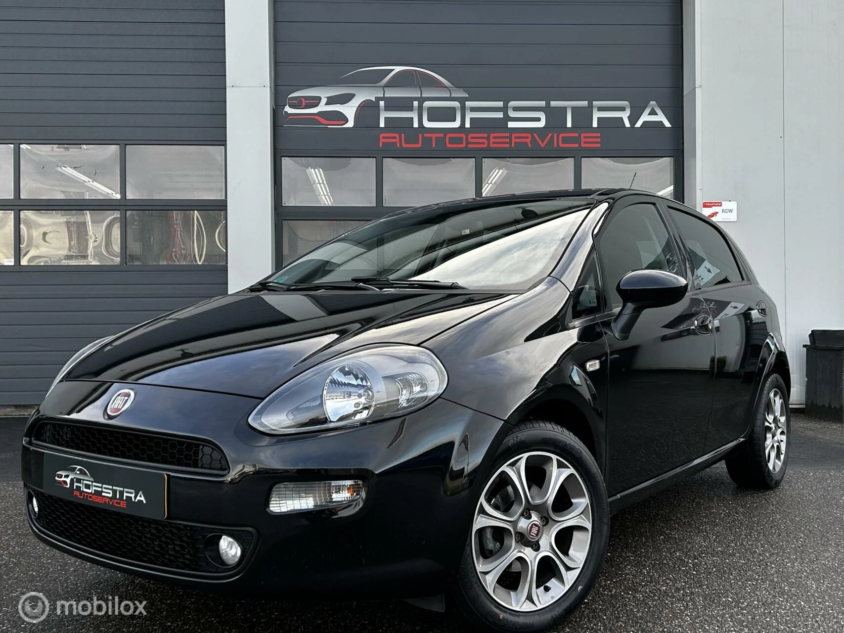 Hoofdafbeelding Fiat Punto