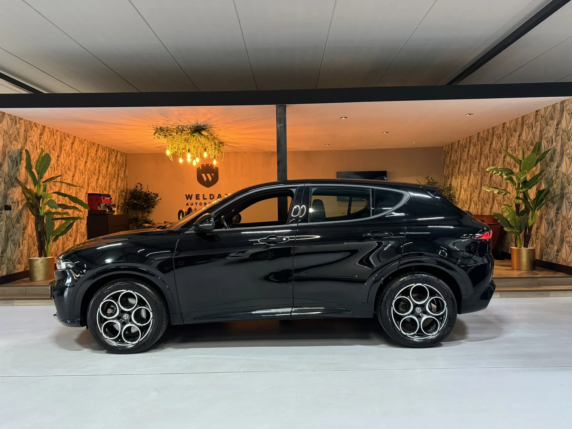 Hoofdafbeelding Alfa Romeo Tonale