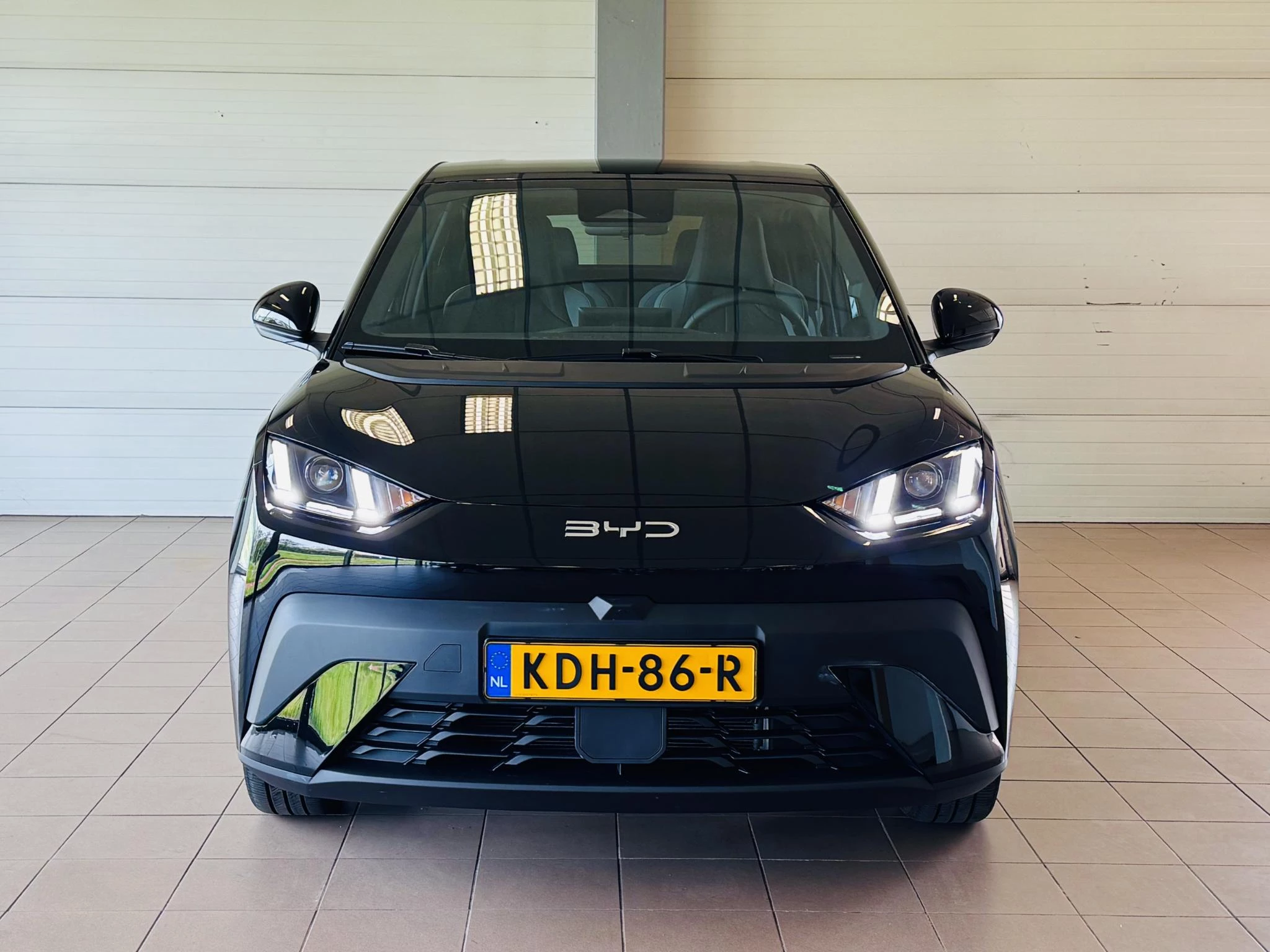 Hoofdafbeelding BYD DOLPHIN SURF