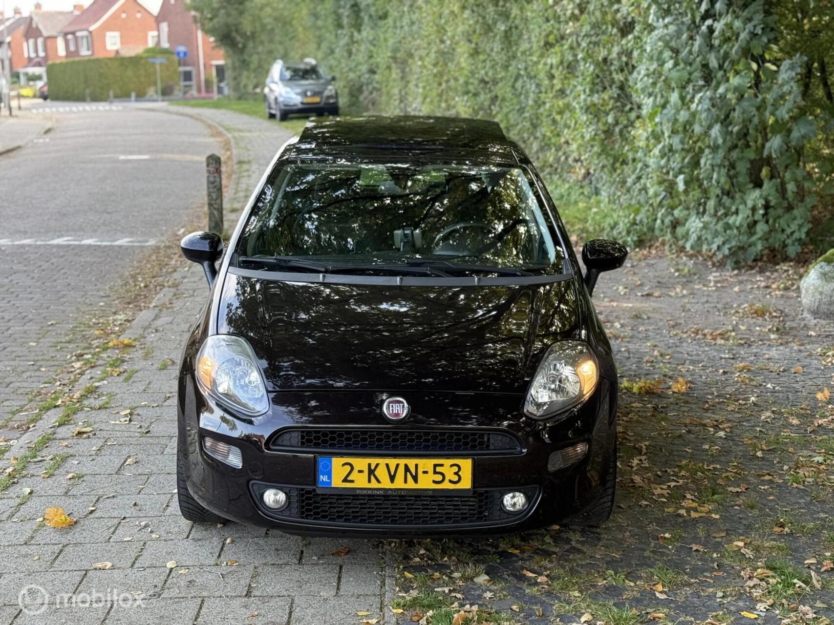 Hoofdafbeelding Fiat Punto
