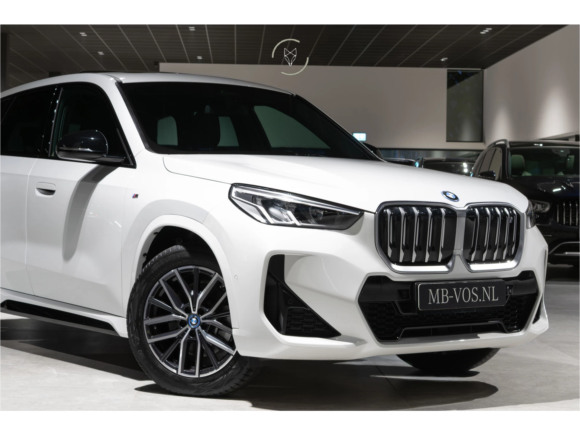 Hoofdafbeelding BMW iX1