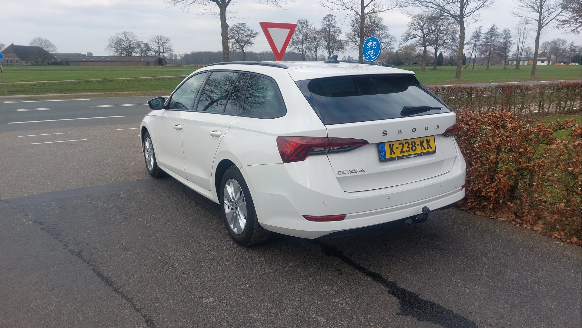 Hoofdafbeelding Škoda Octavia