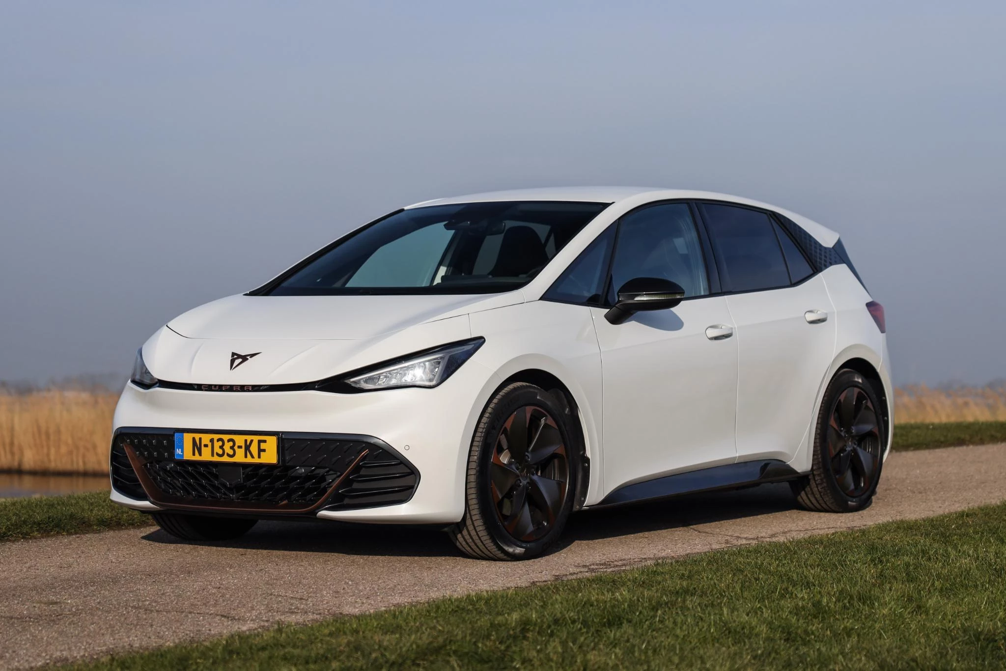 Hoofdafbeelding CUPRA Born