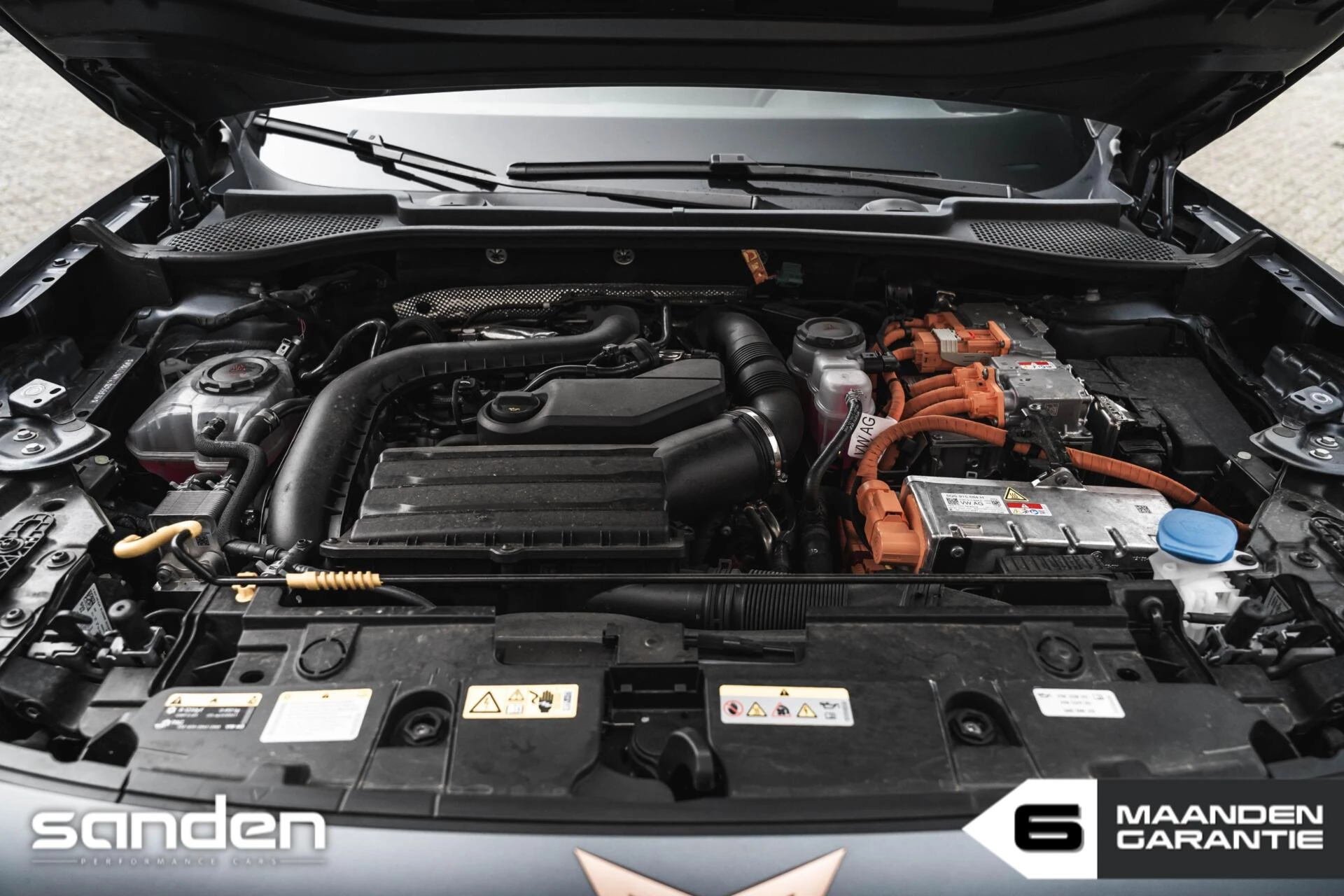 Hoofdafbeelding CUPRA Formentor