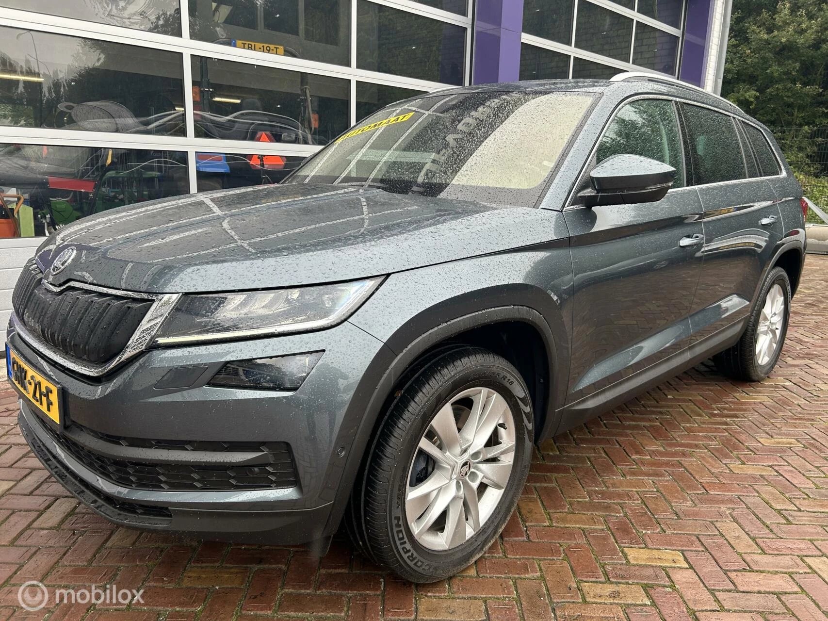 Hoofdafbeelding Škoda Kodiaq