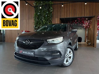 Hoofdafbeelding Opel Grandland X Opel Grandland X 1.2 Turbo Edition