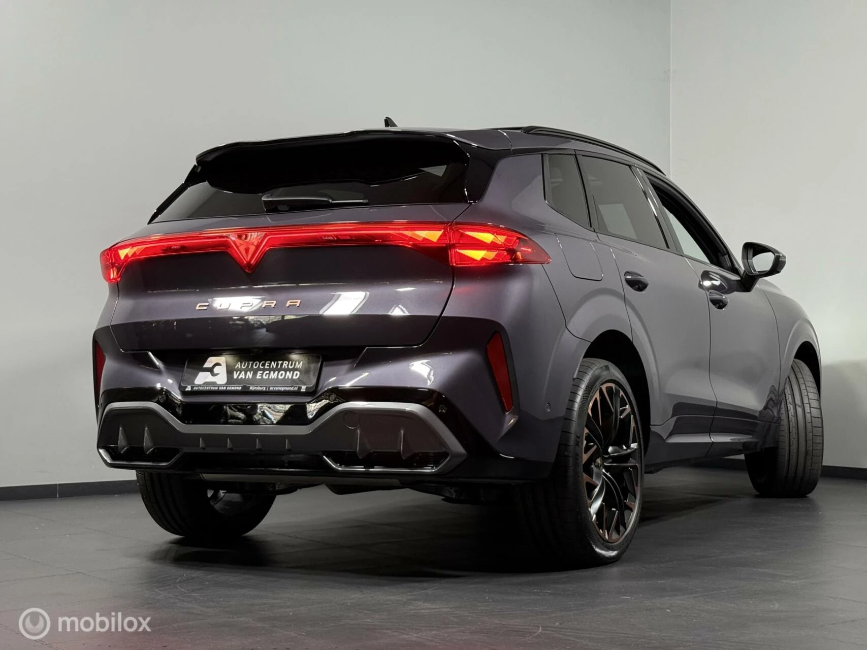 Hoofdafbeelding CUPRA Terramar