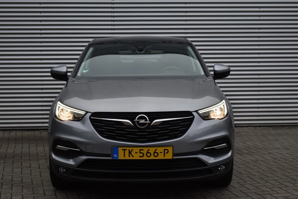 Hoofdafbeelding Opel Grandland X