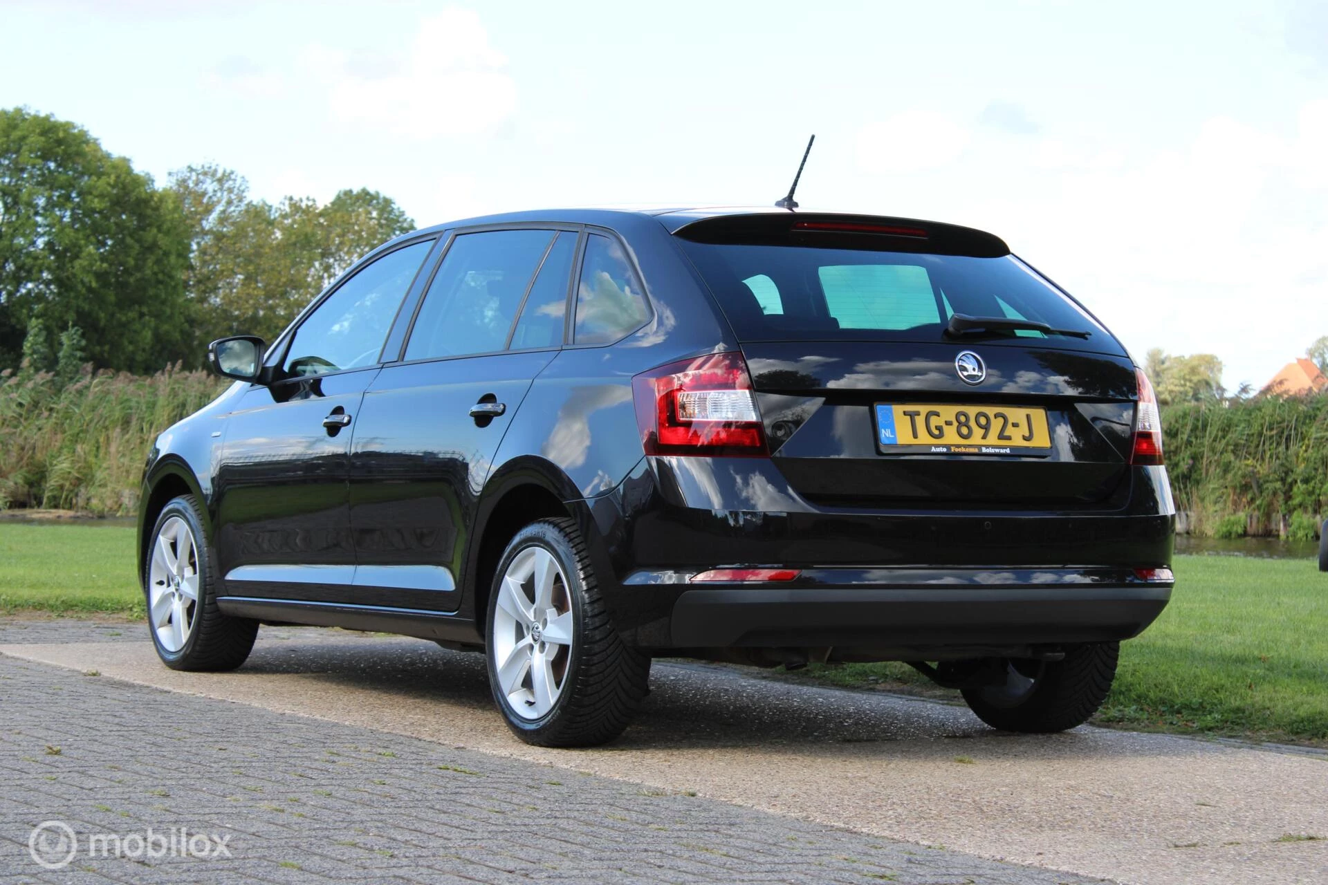 Hoofdafbeelding Škoda Rapid