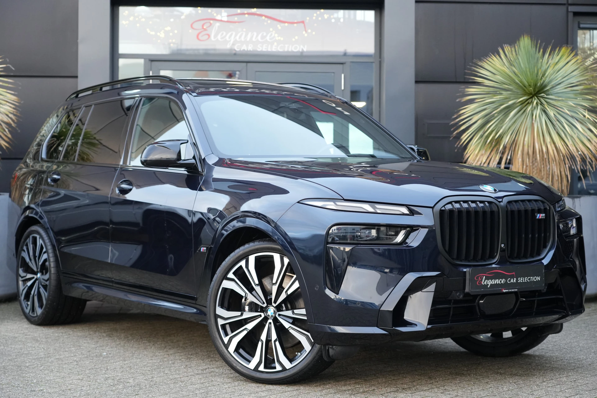 Hoofdafbeelding BMW X7