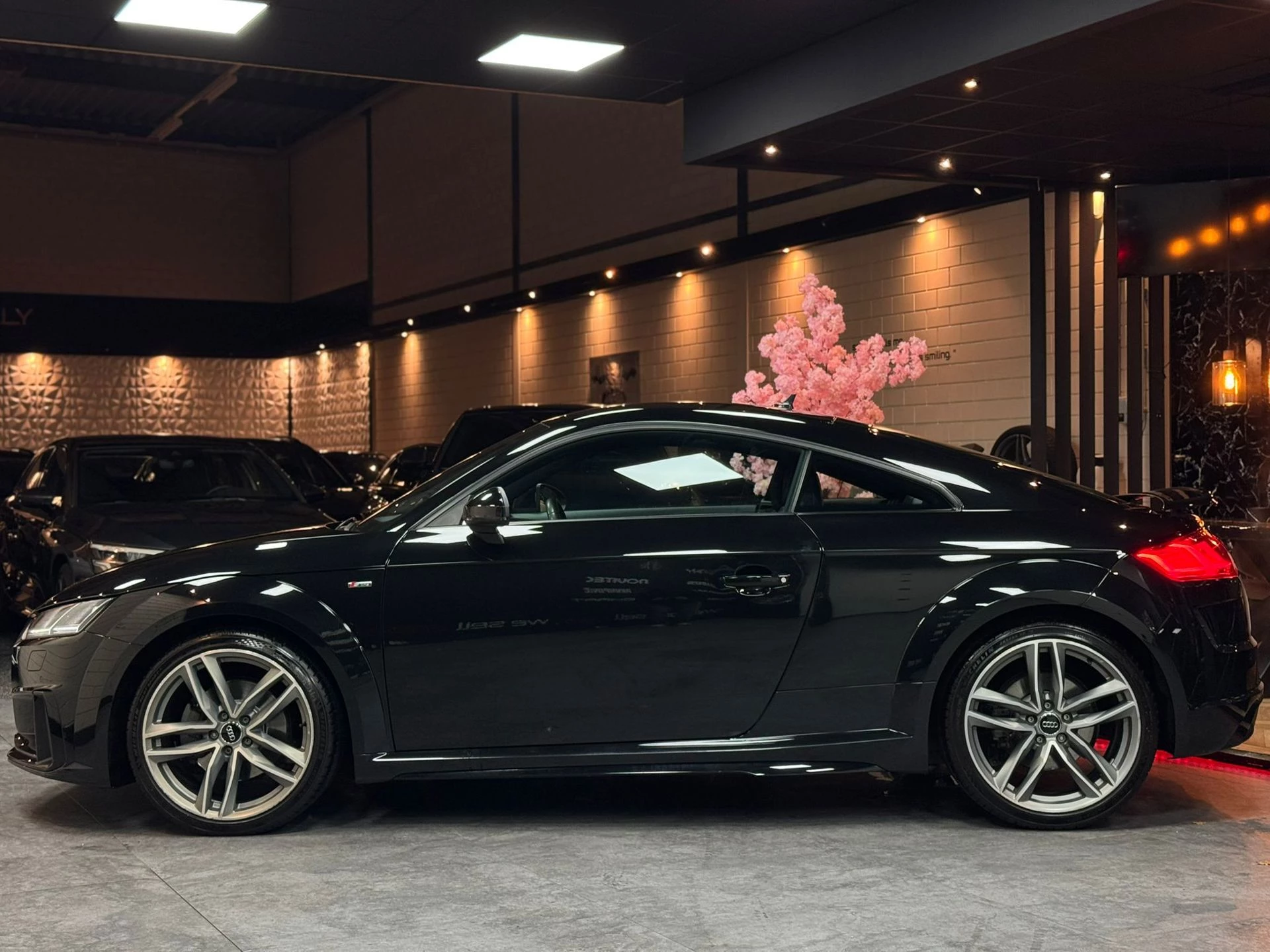 Hoofdafbeelding Audi TT