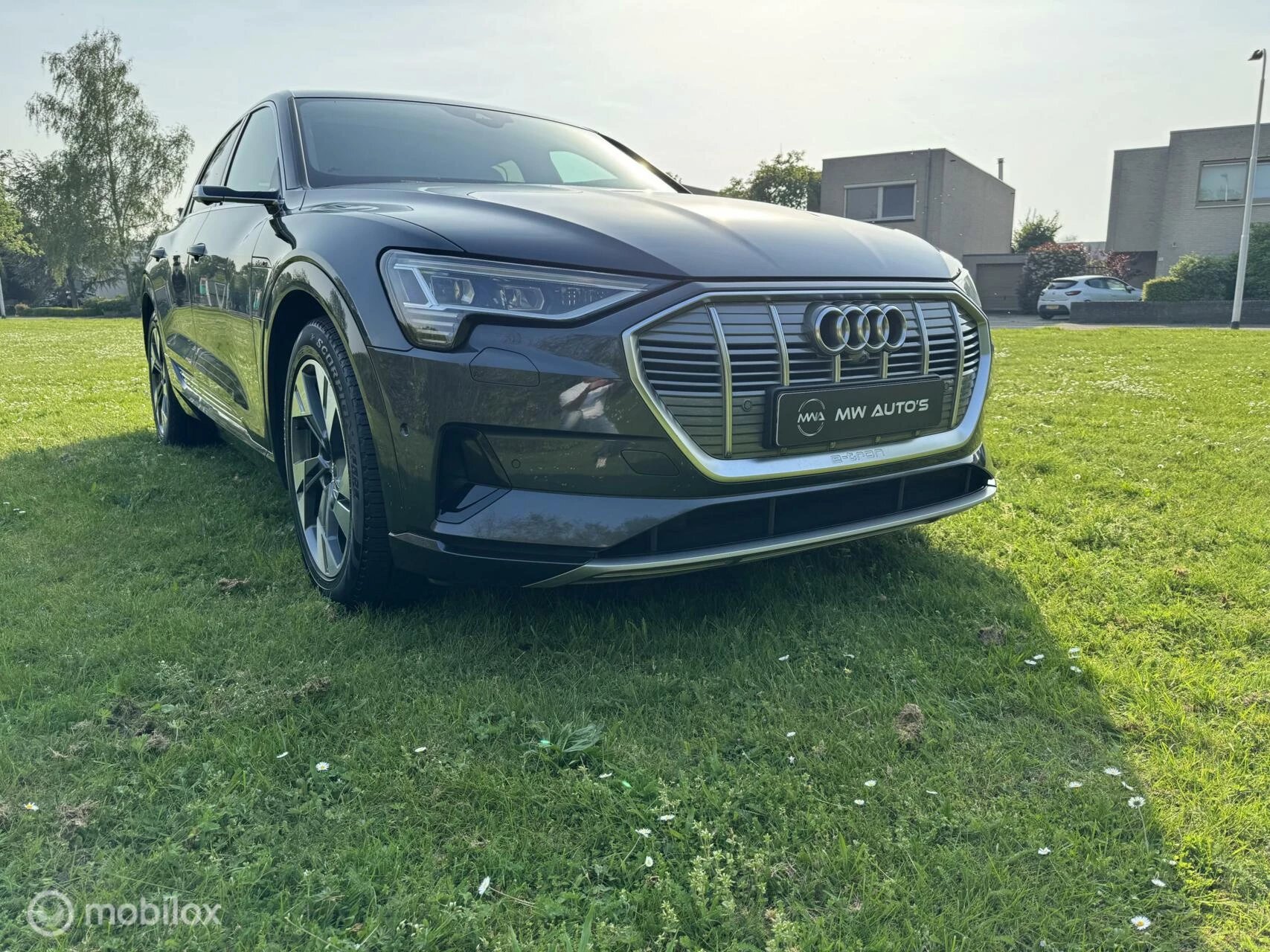 Hoofdafbeelding Audi e-tron