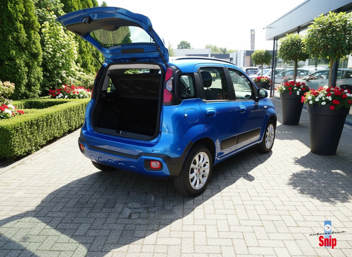 Hoofdafbeelding Fiat Panda