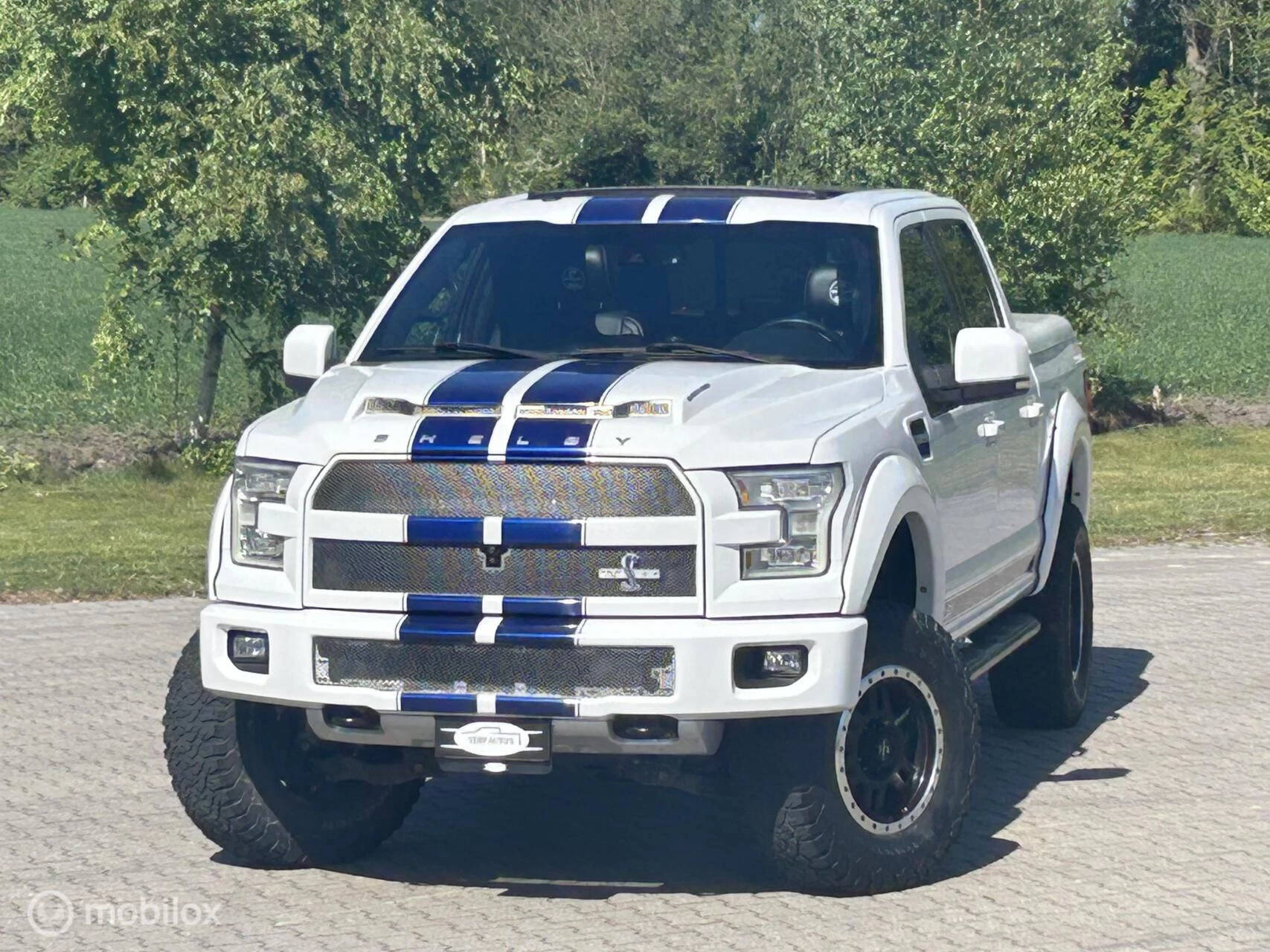 Hoofdafbeelding Ford F-150