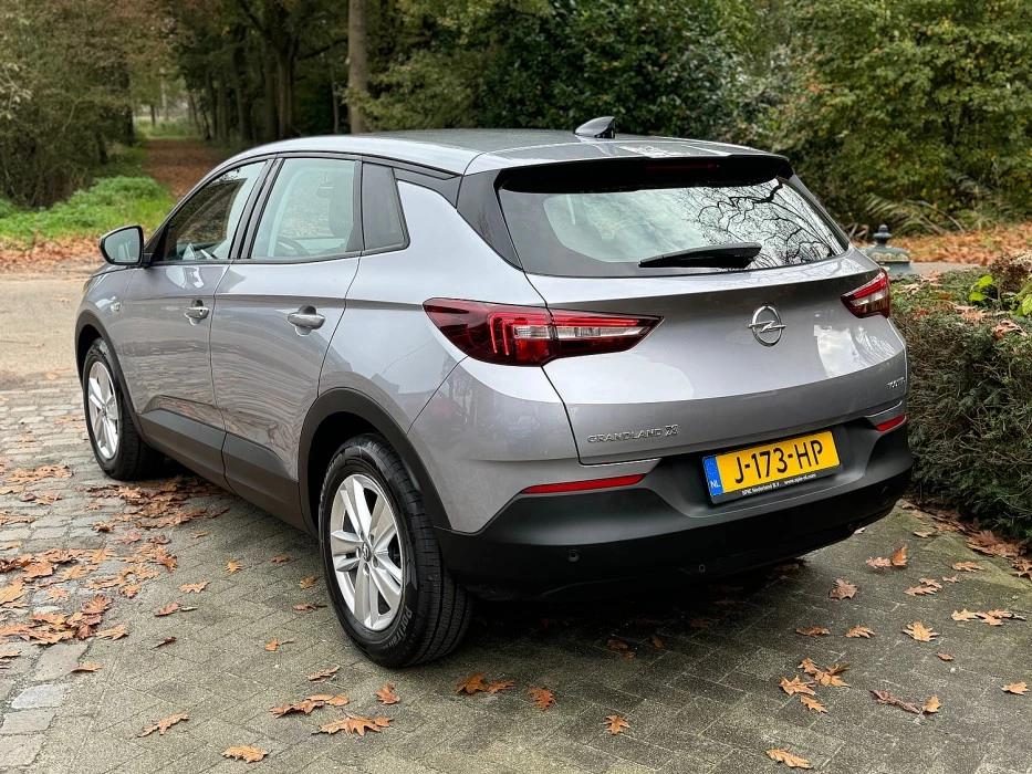 Hoofdafbeelding Opel Grandland X