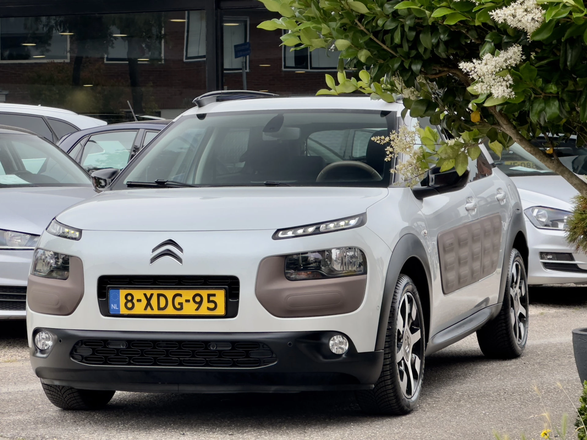 Hoofdafbeelding Citroën C4 Cactus