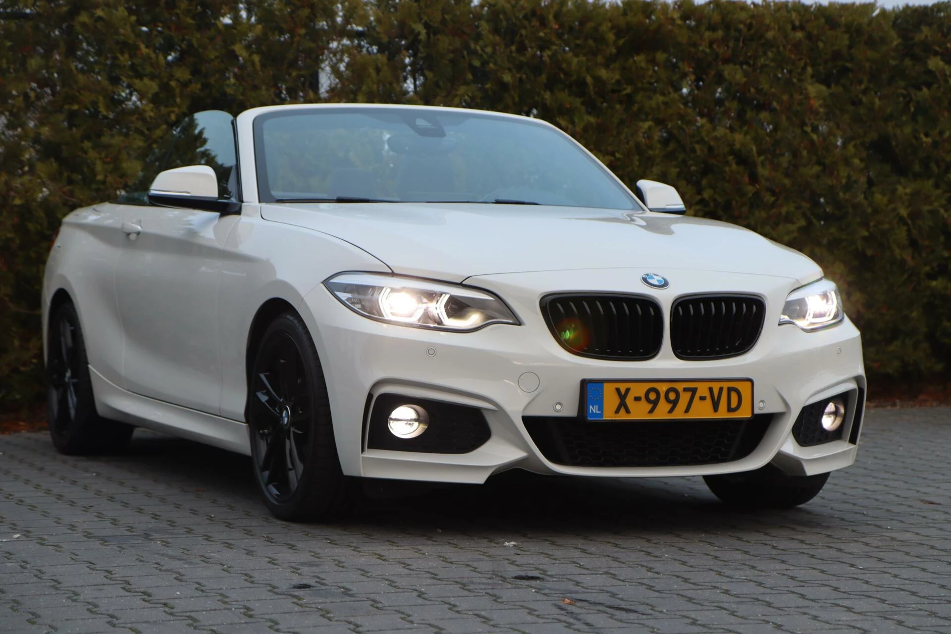 Hoofdafbeelding BMW 2 Serie