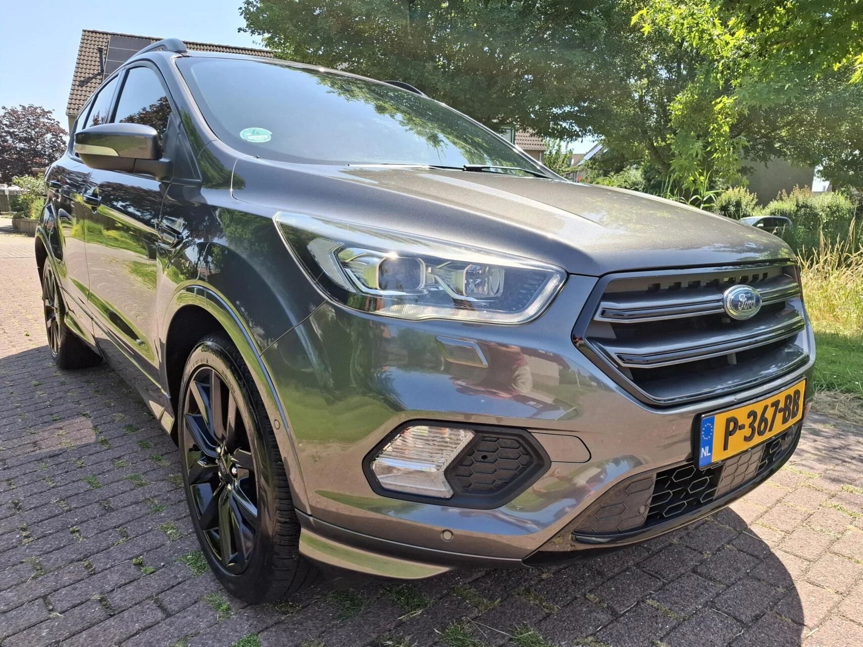 Hoofdafbeelding Ford Kuga