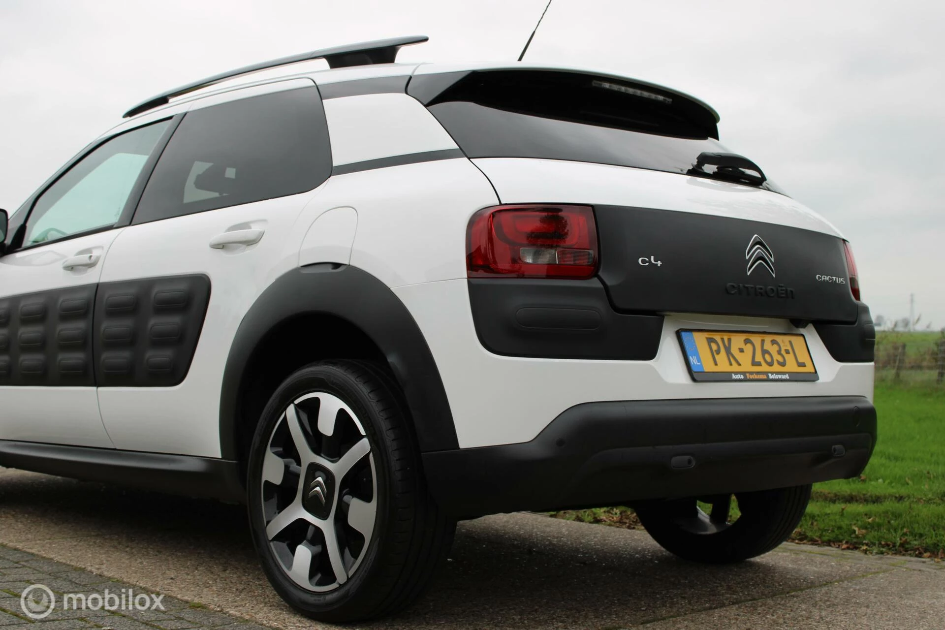 Hoofdafbeelding Citroën C4 Cactus