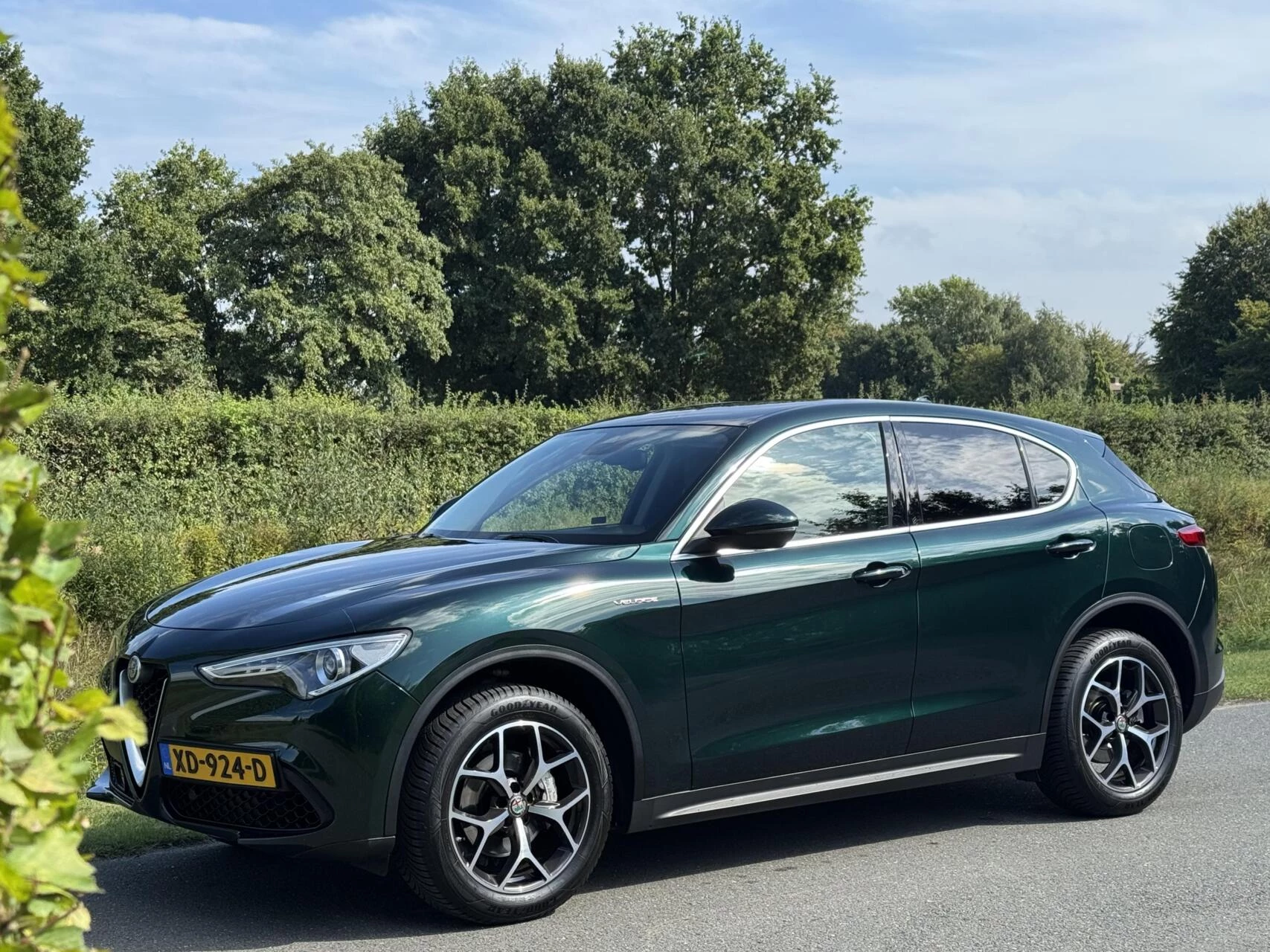 Hoofdafbeelding Alfa Romeo Stelvio