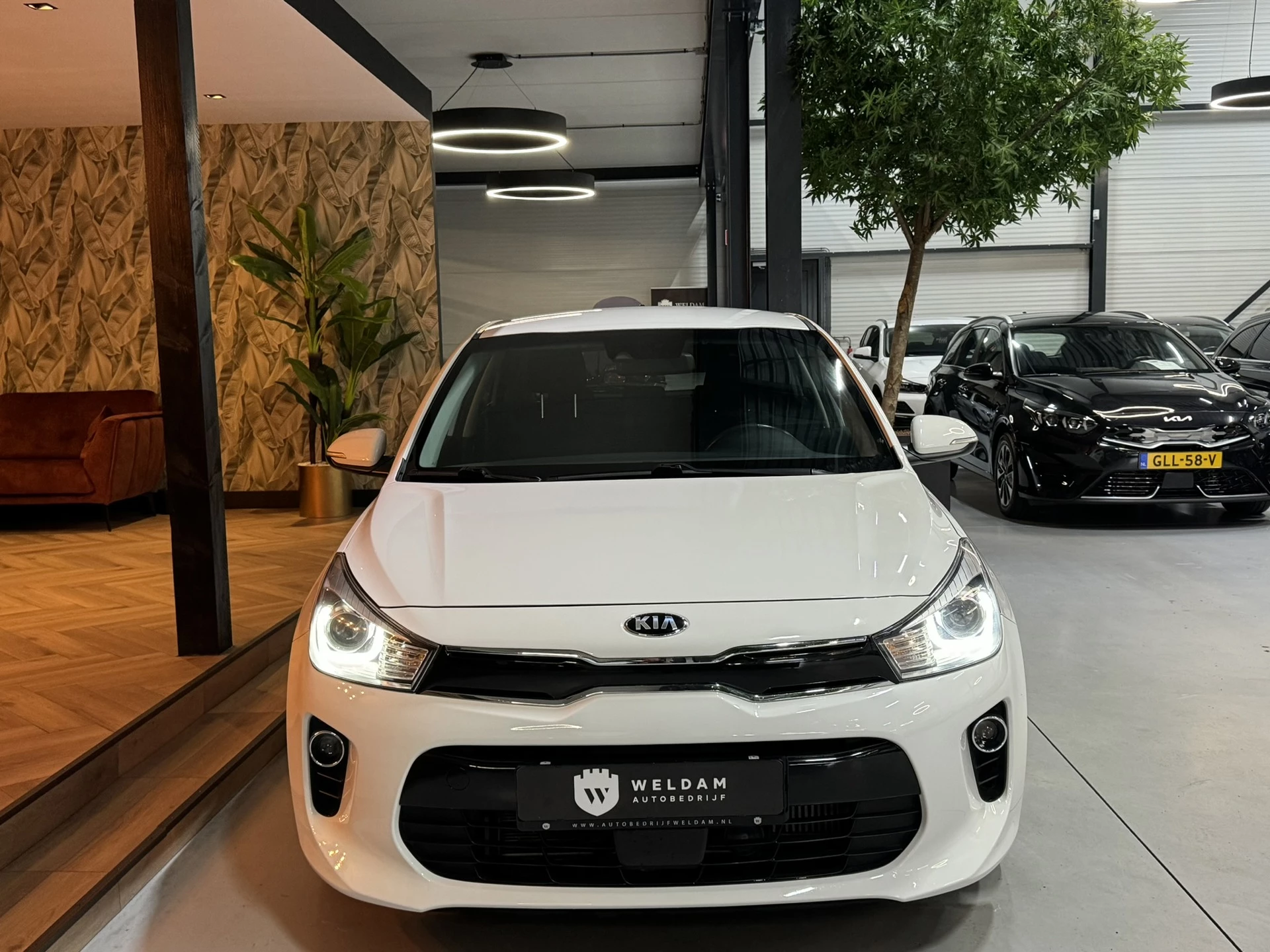 Hoofdafbeelding Kia Rio