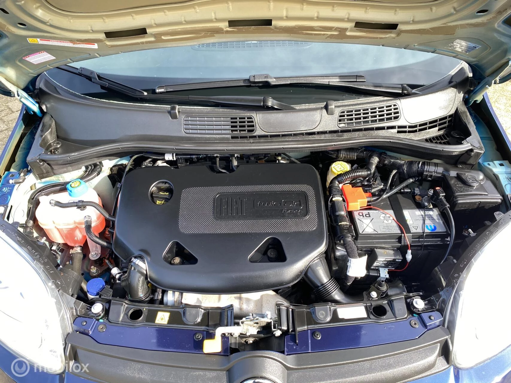 Hoofdafbeelding Fiat Panda