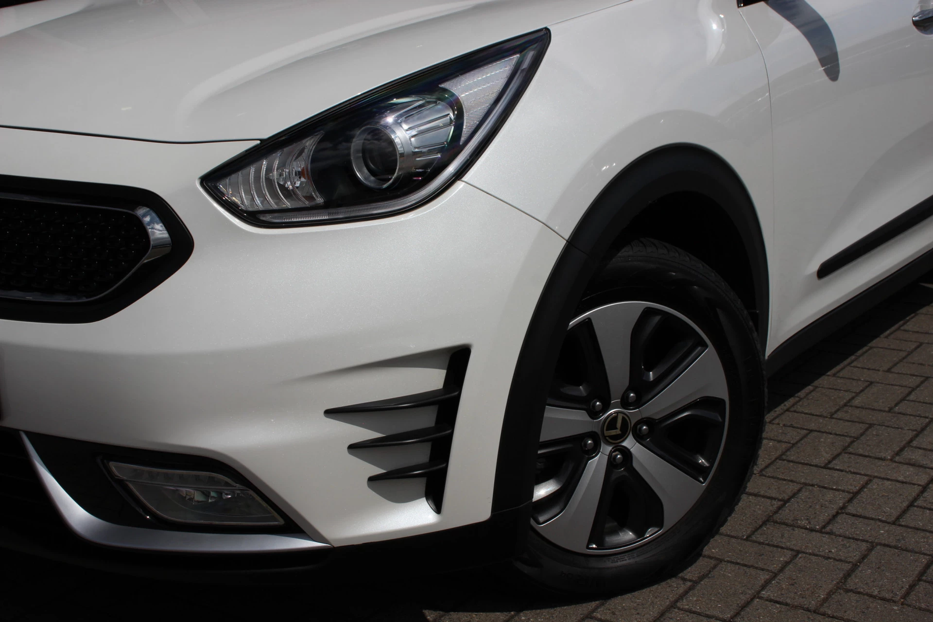Hoofdafbeelding Kia Niro