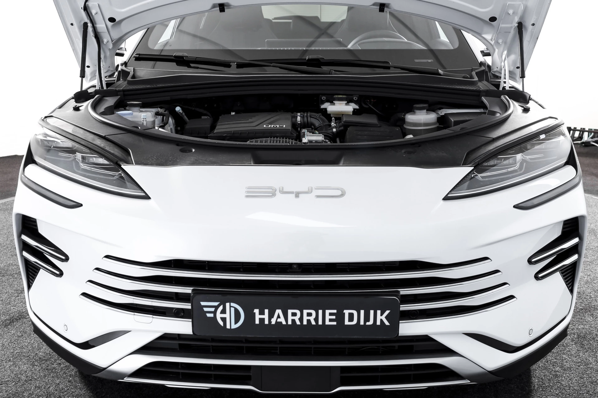 Hoofdafbeelding BYD SEAL U