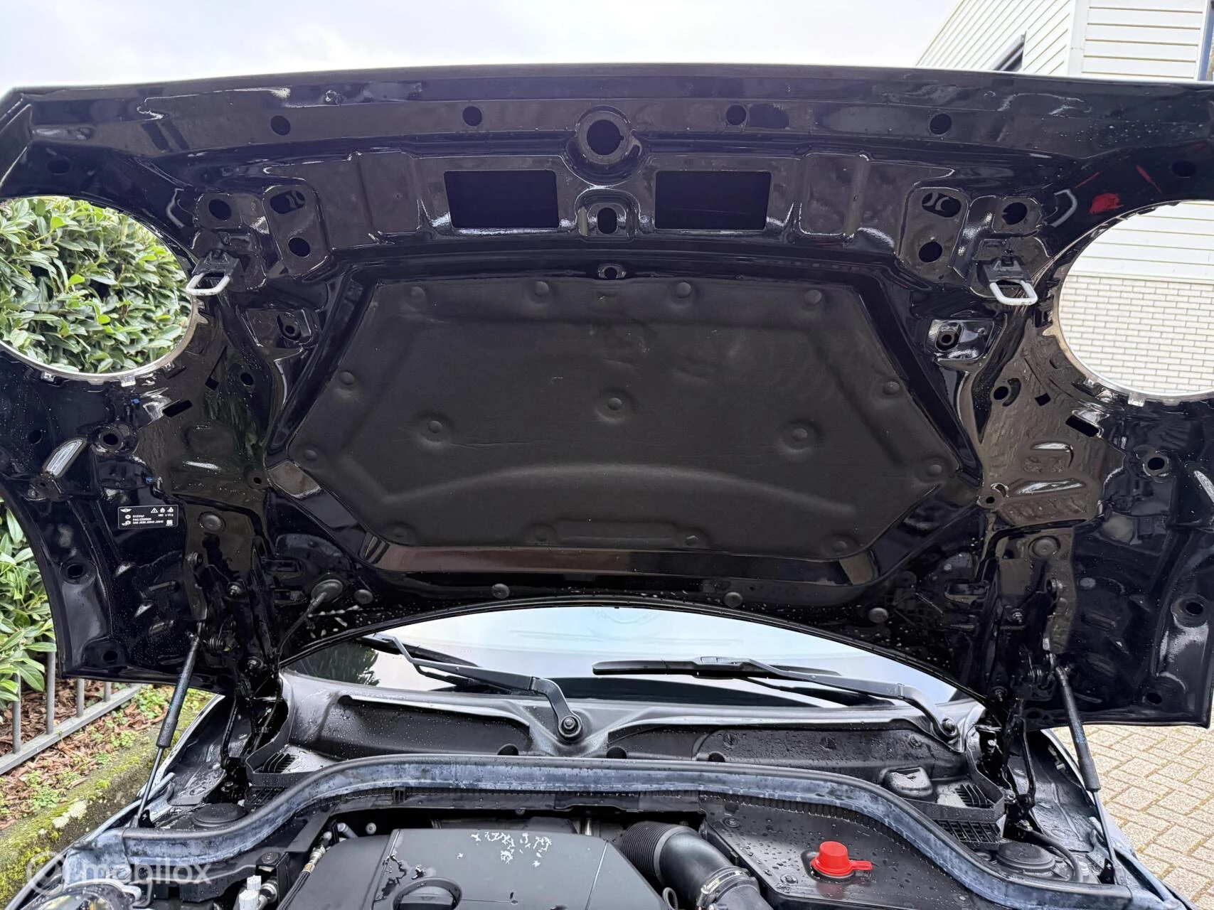 Hoofdafbeelding MINI Cooper Cabrio