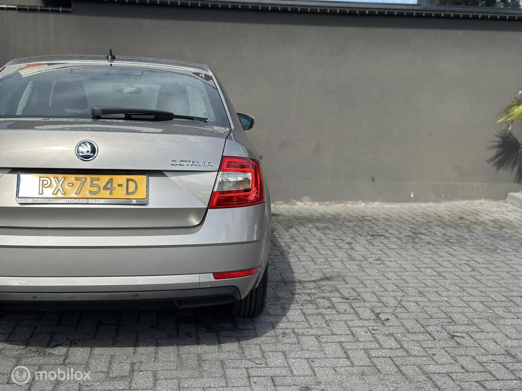 Hoofdafbeelding Škoda Octavia
