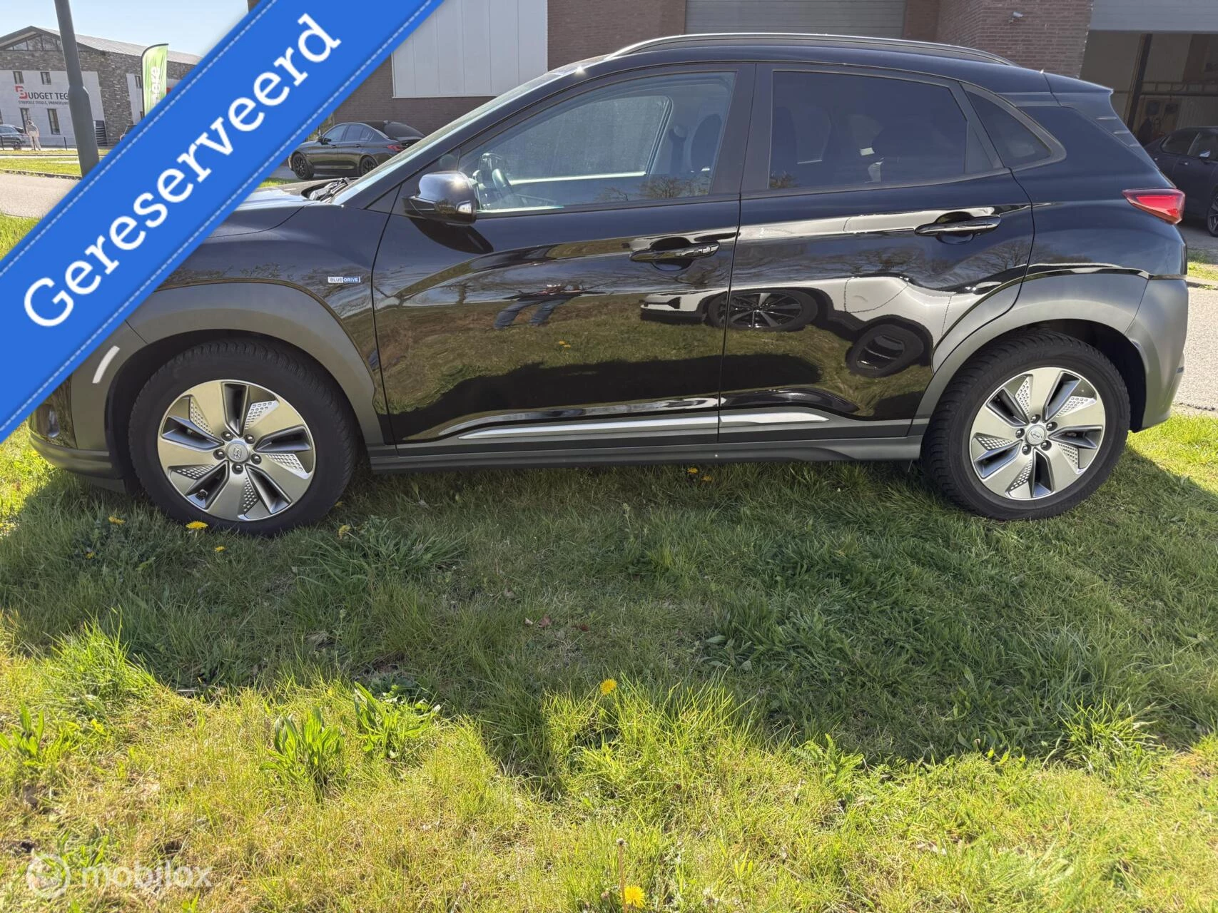 Hoofdafbeelding Hyundai Kona