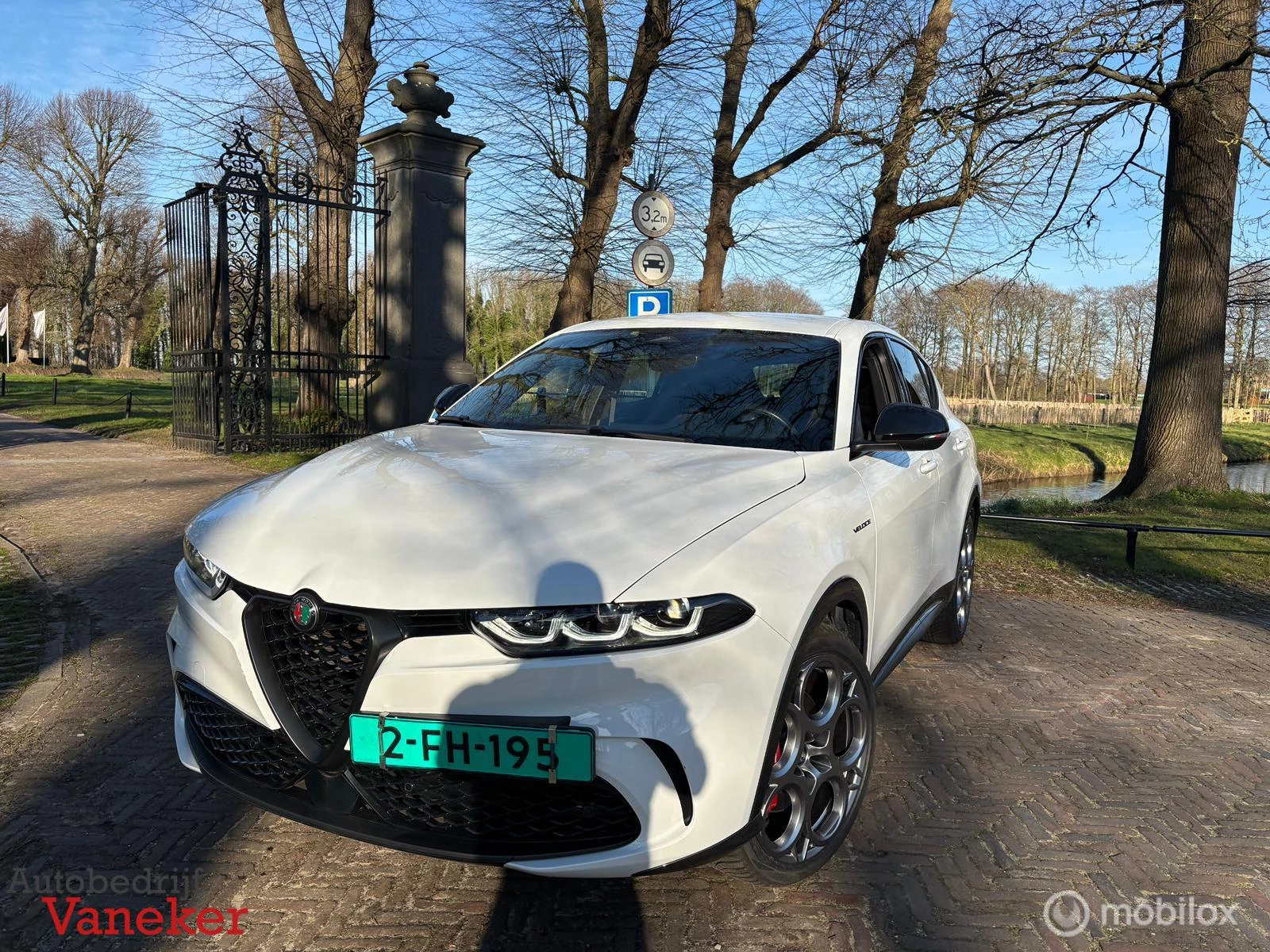 Hoofdafbeelding Alfa Romeo Tonale