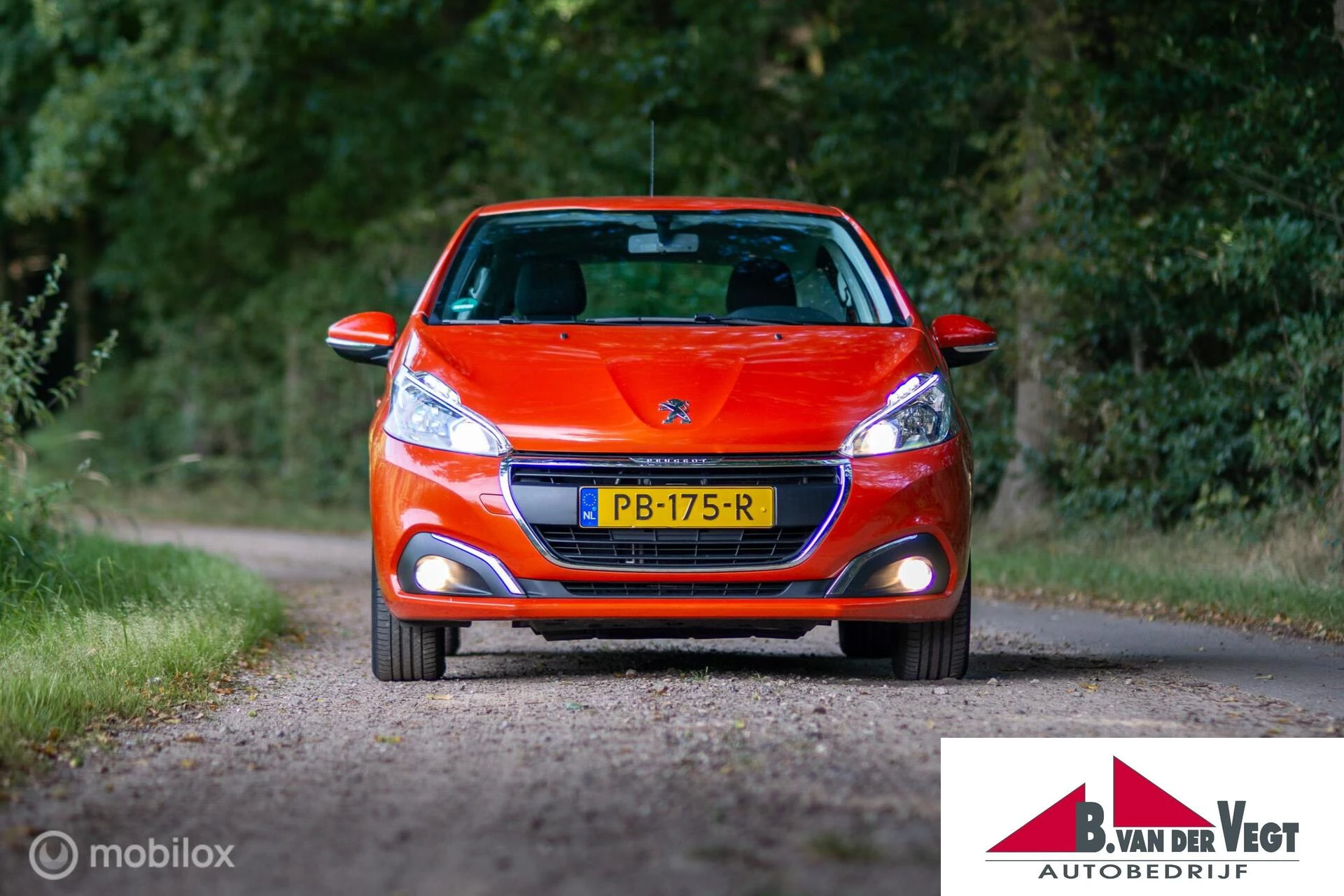 Hoofdafbeelding Peugeot 208