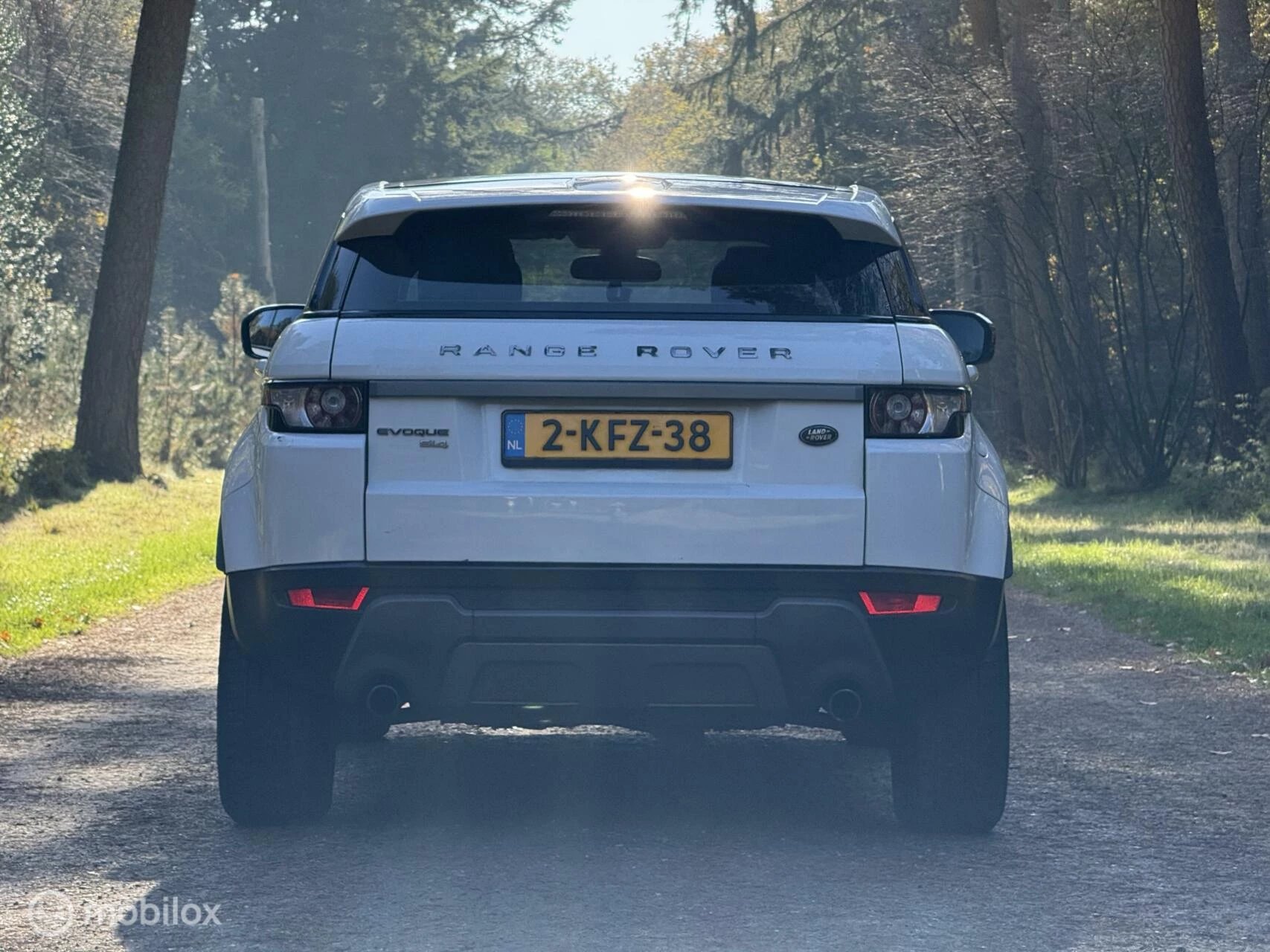 Hoofdafbeelding Land Rover Range Rover Evoque